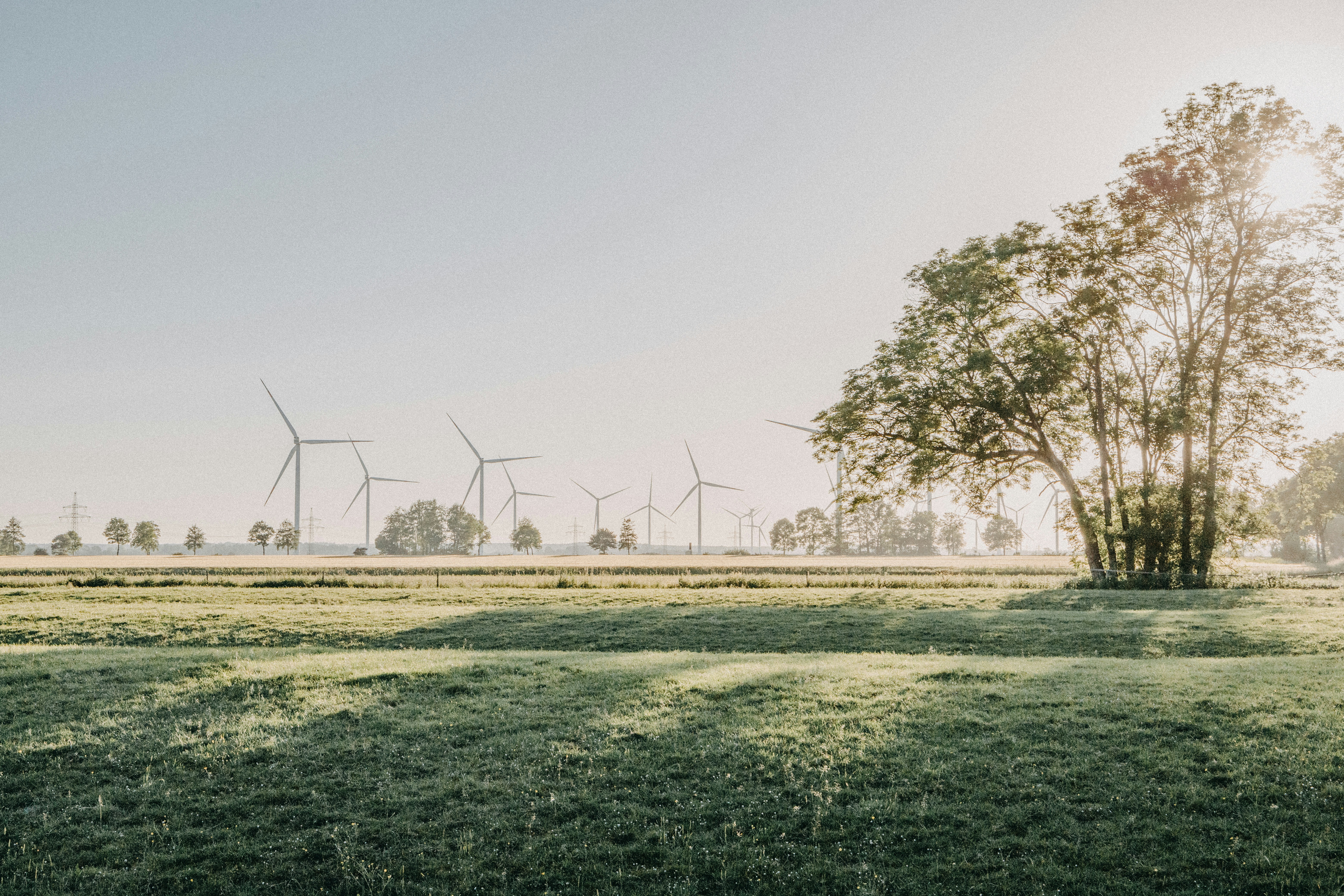 Photo by katharina_bill