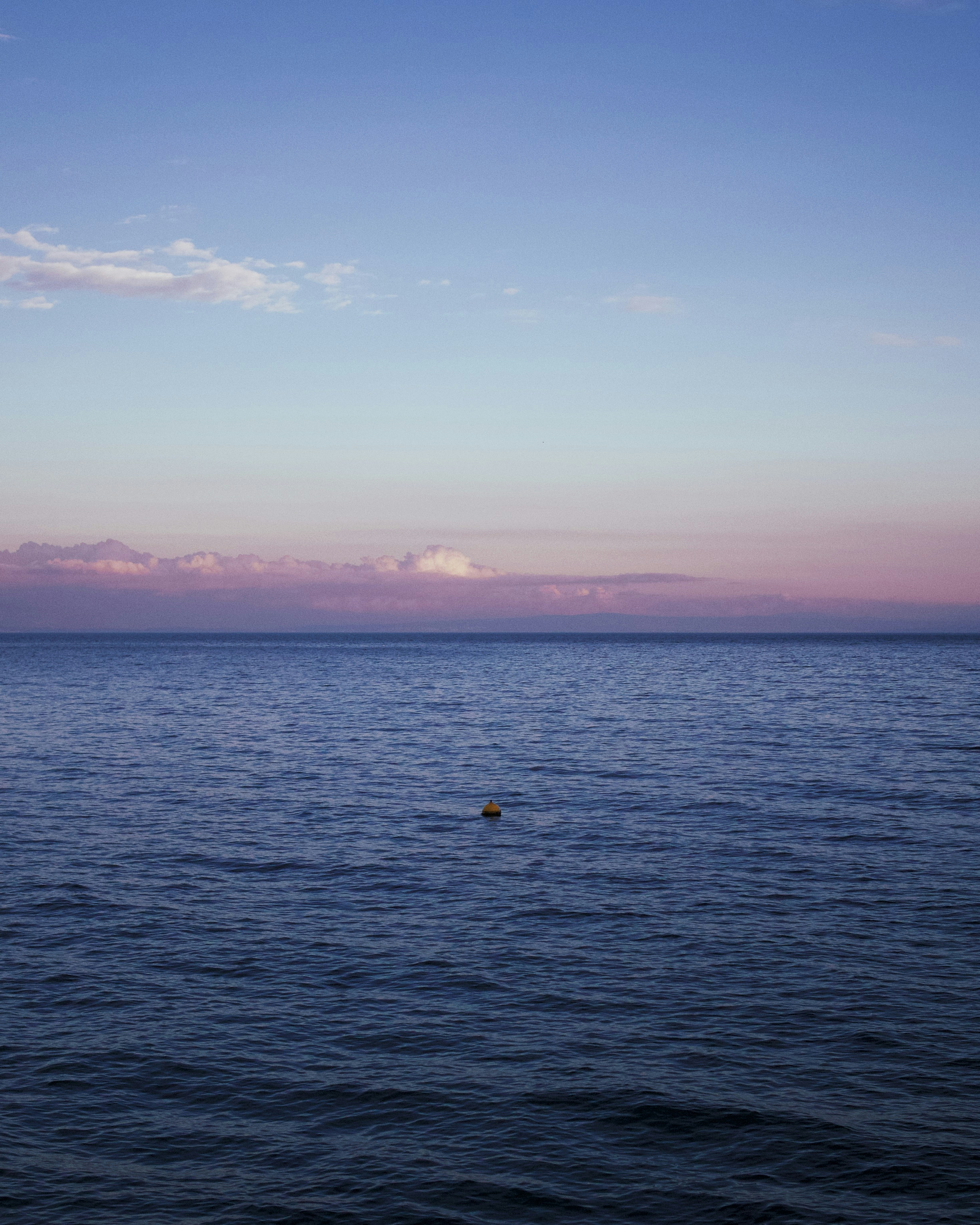 Photo by somewhatparanoid