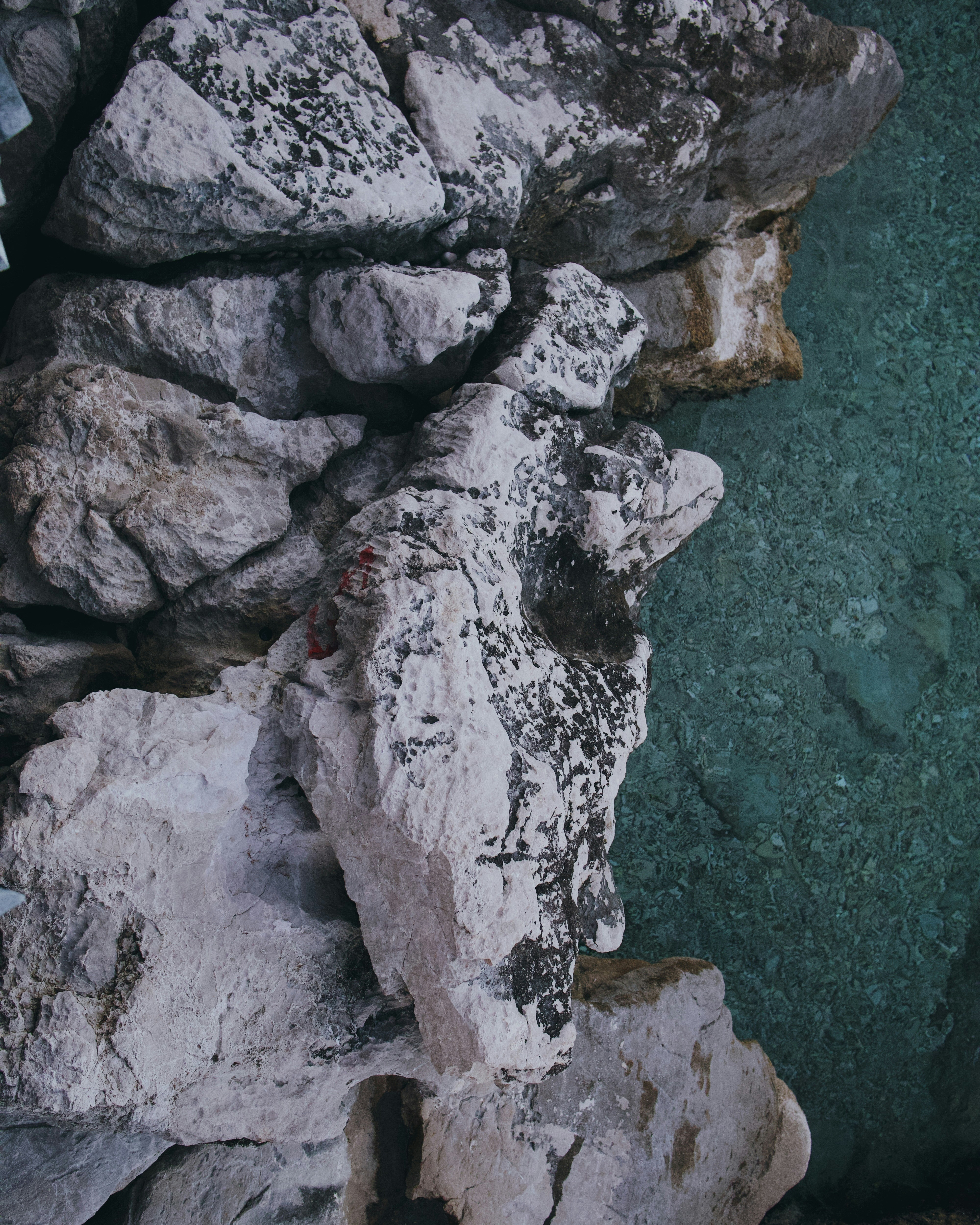 Photo by somewhatparanoid