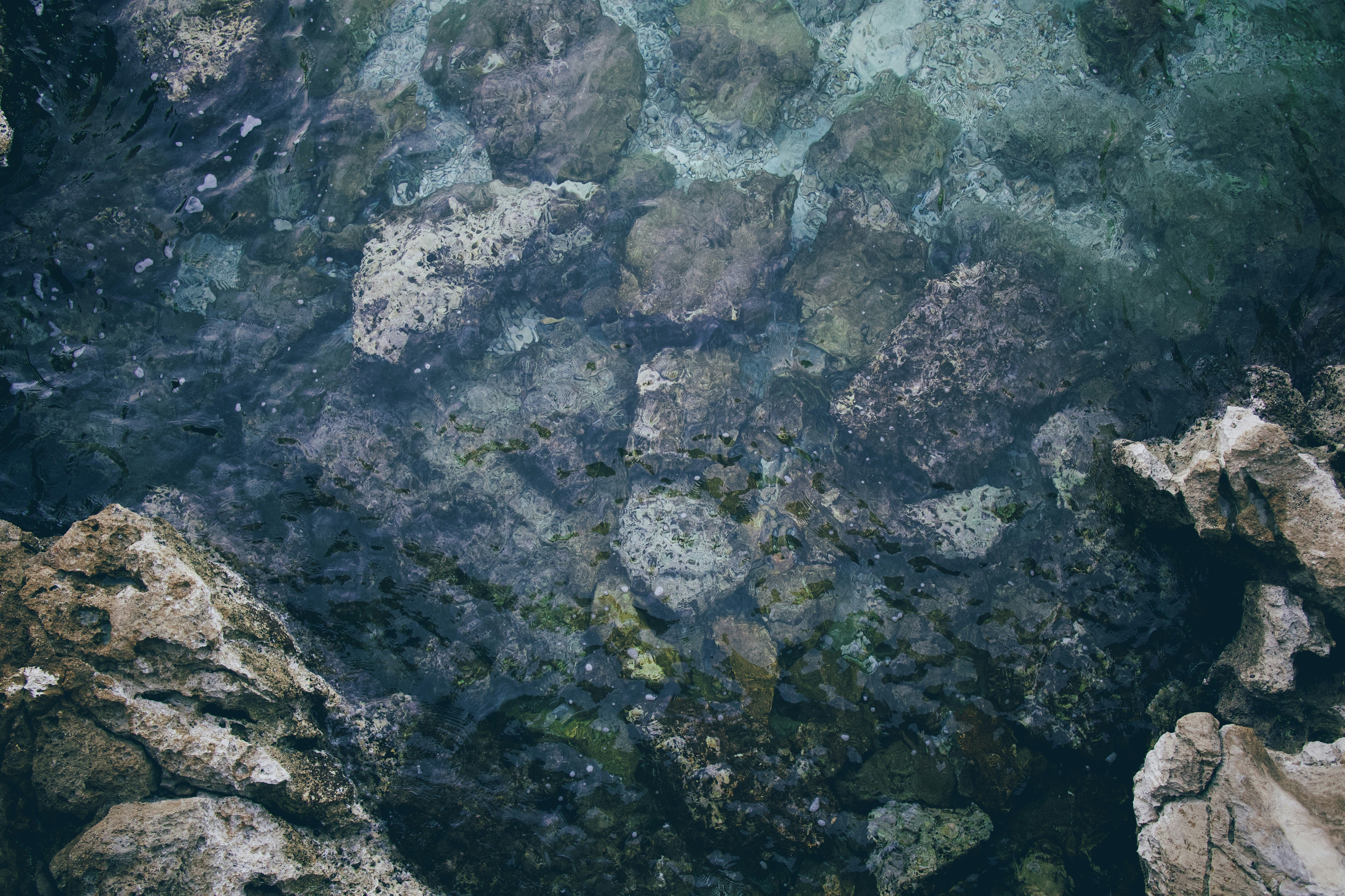 Photo by somewhatparanoid