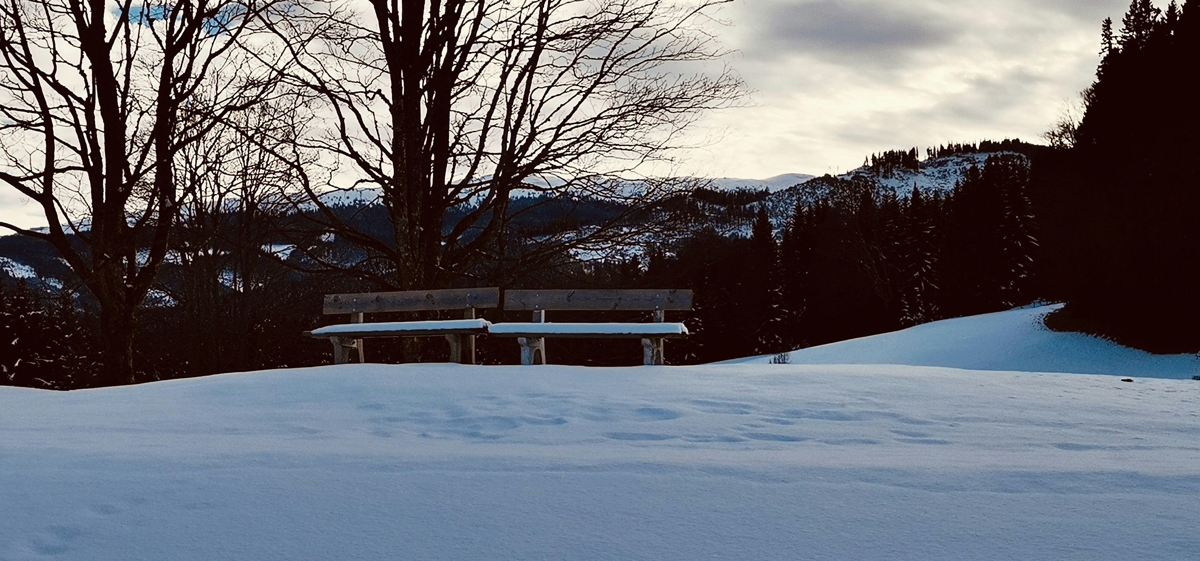 um banco sentado em cima de uma encosta coberta de neve