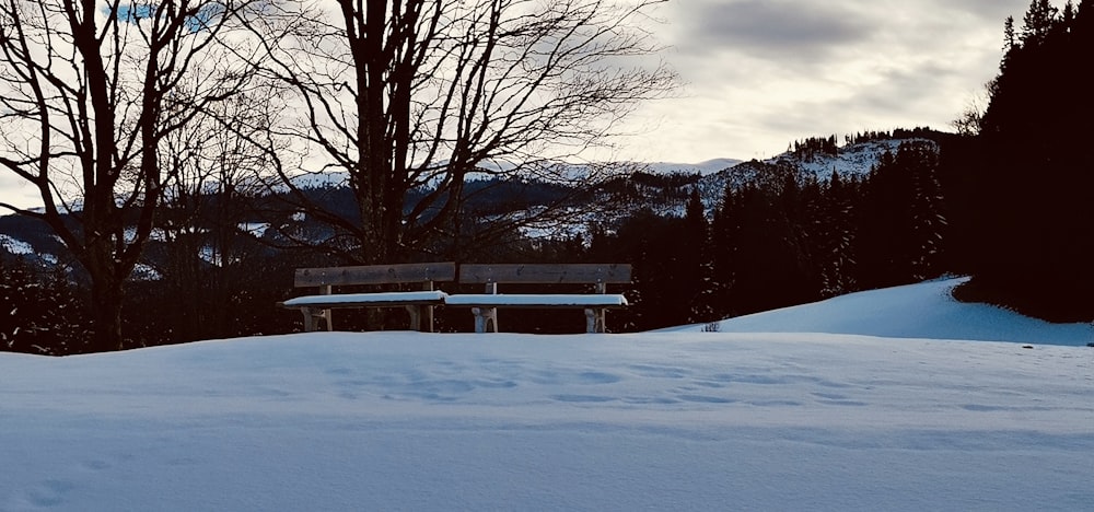 un banco sentado en la cima de una pendiente cubierta de nieve
