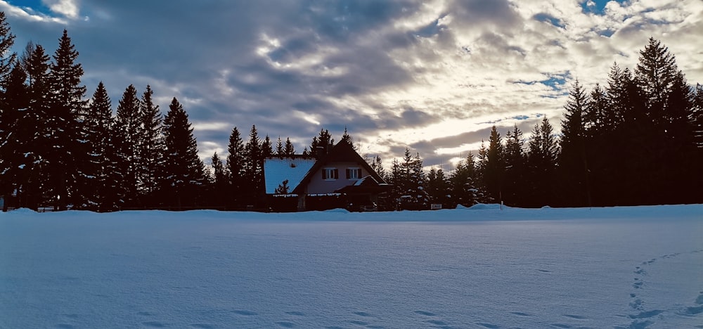 Un campo innevato con una casa sullo sfondo