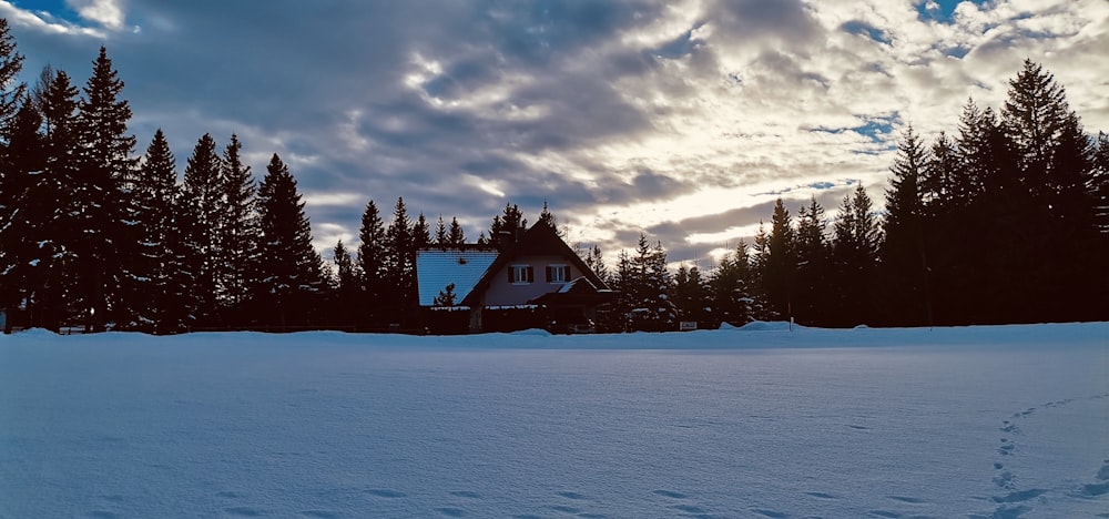 Un campo cubierto de nieve con una casa al fondo