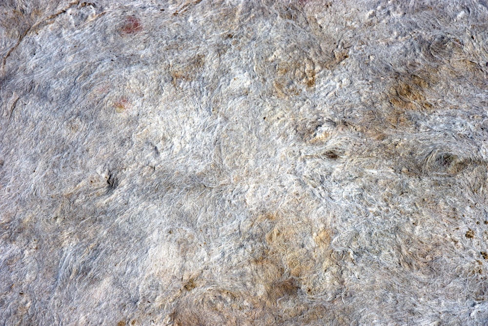 a close up of a rock with some dirt on it