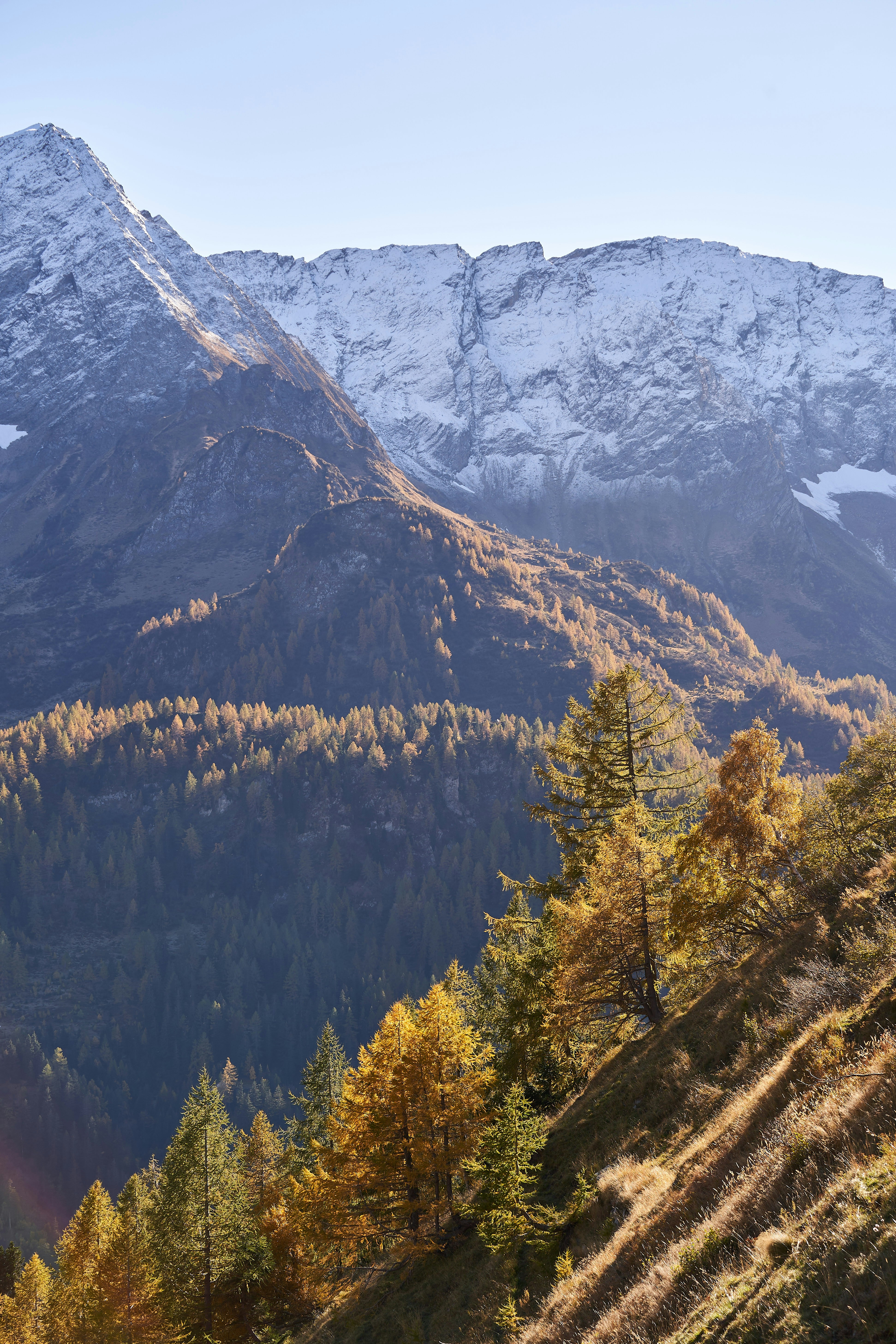 Photo by wolfgang_hasselmann