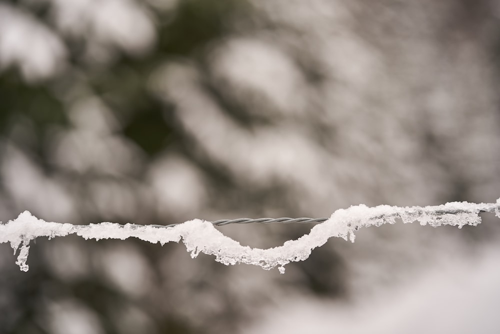 a line of ice hanging from a wire