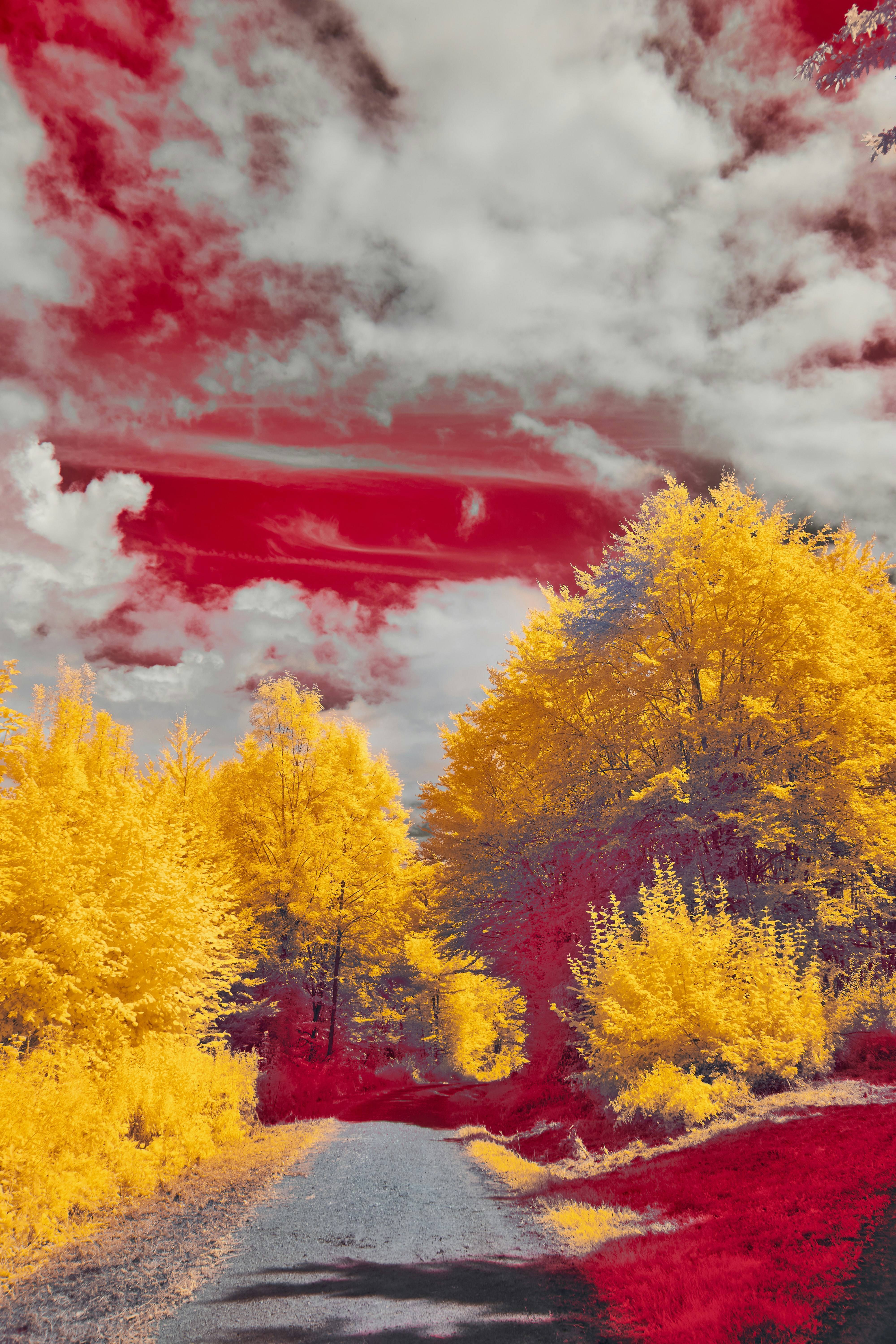 Photo by wolfgang_hasselmann