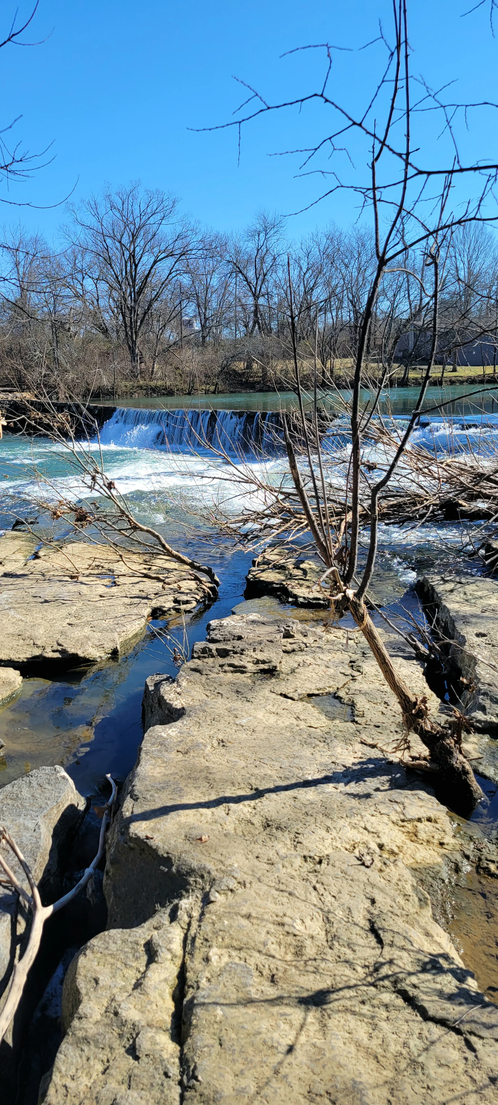 A rocky creek running through bare winter woods.
