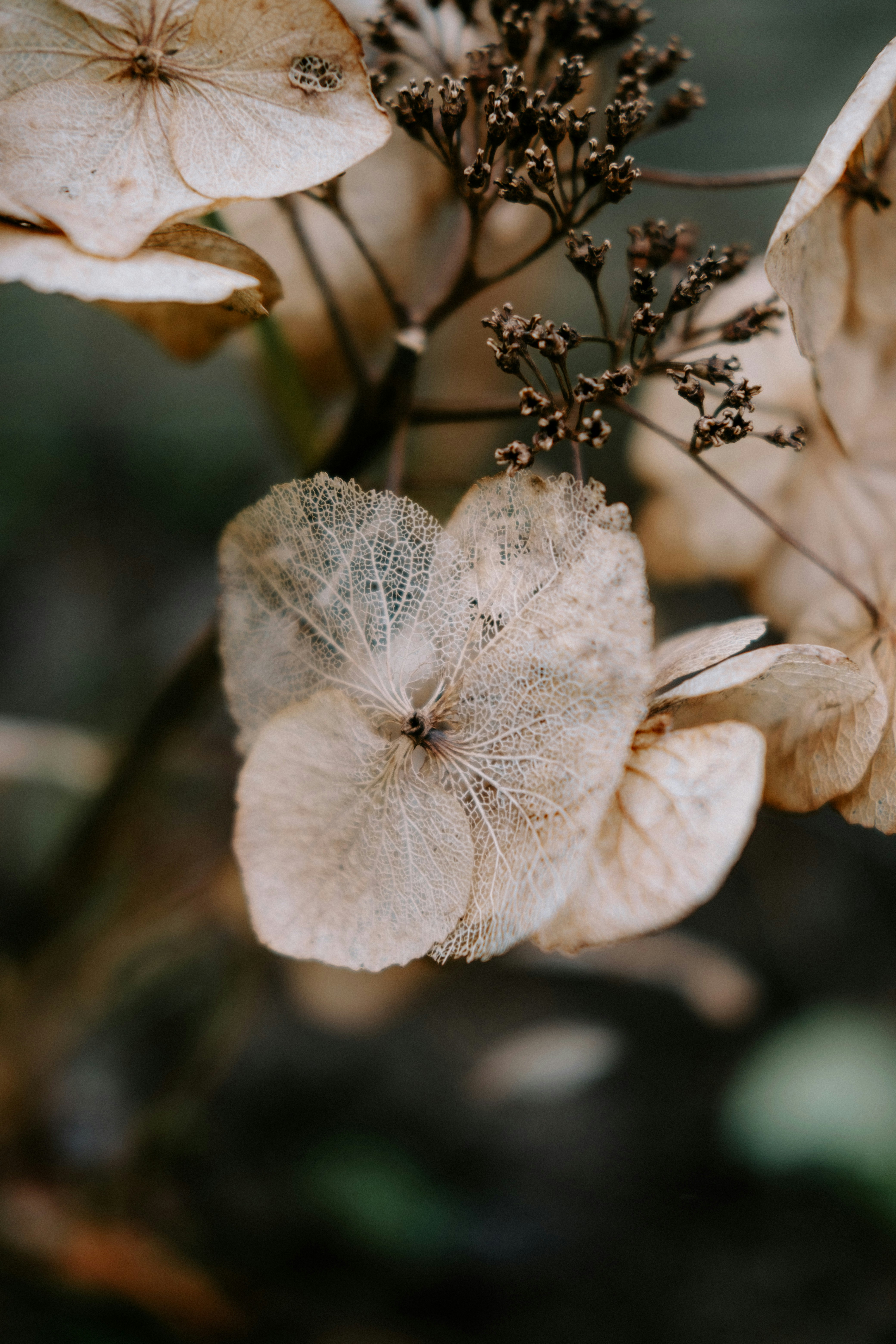 Photo by matreding