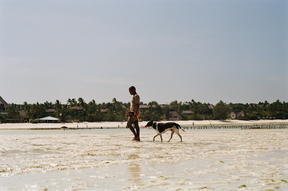 男と犬が水の中を歩いている