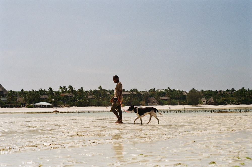 a man and a dog are walking in the water