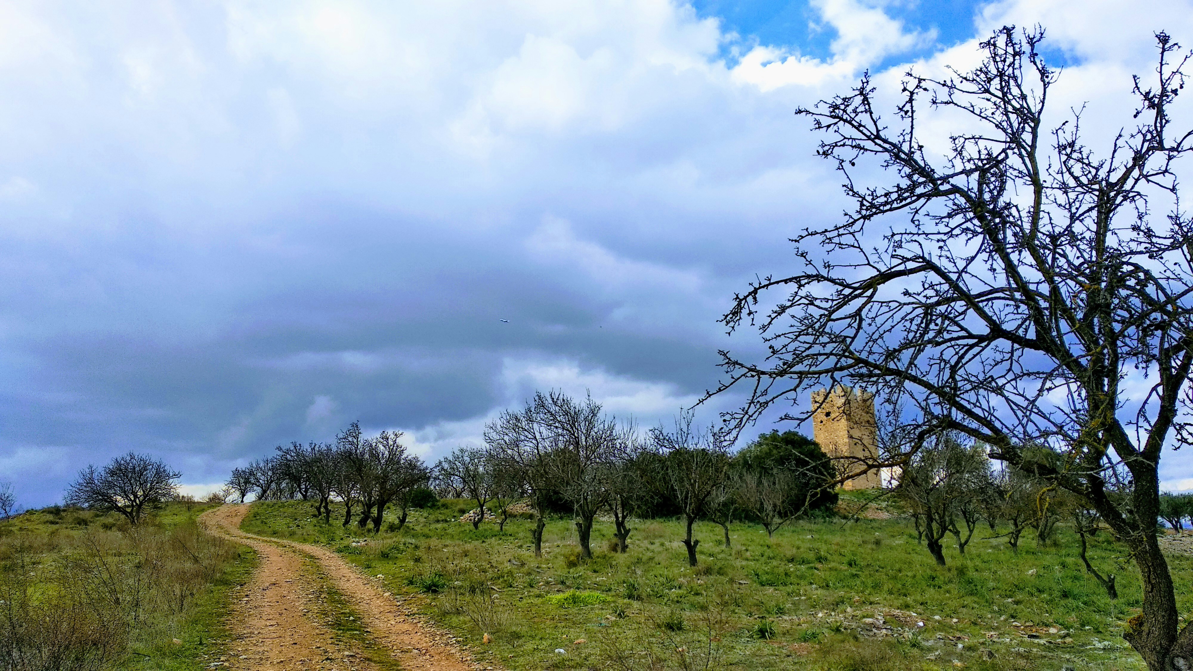 a dirt road in a field with a tower in the background