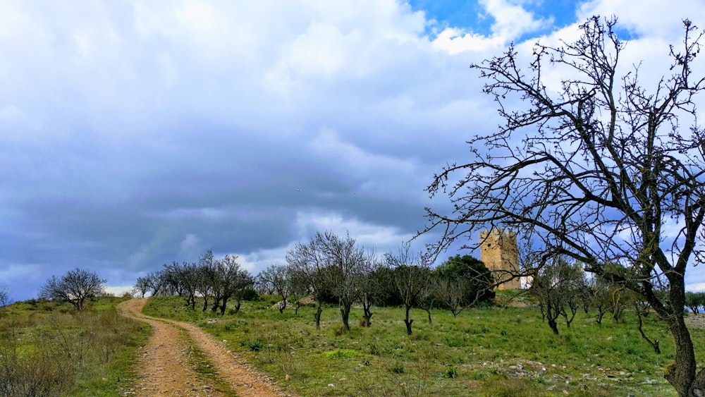 a dirt road in a field with a tower in the background