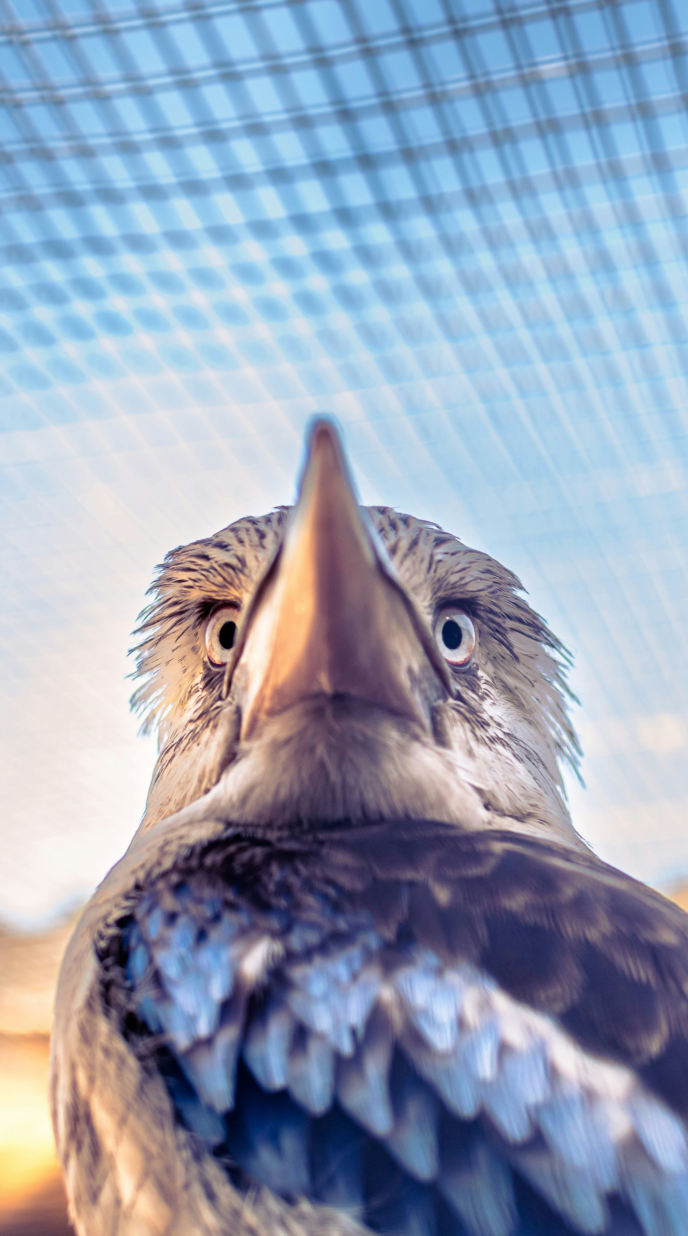 photo-1645043878413-d2727b625145?ixid=M3wxMjA3fDB8MXxzZWFyY2h8MTZ8fGppbnRhcmElMjByZWhhYnxlbnwwfHx8fDE3MDMxNjcxNjl8MA\u0026ixlib=rb-4.0.3