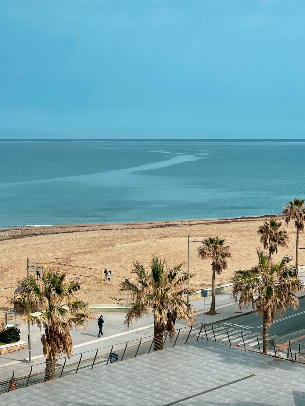 a view of a beach with palm trees in the foreground