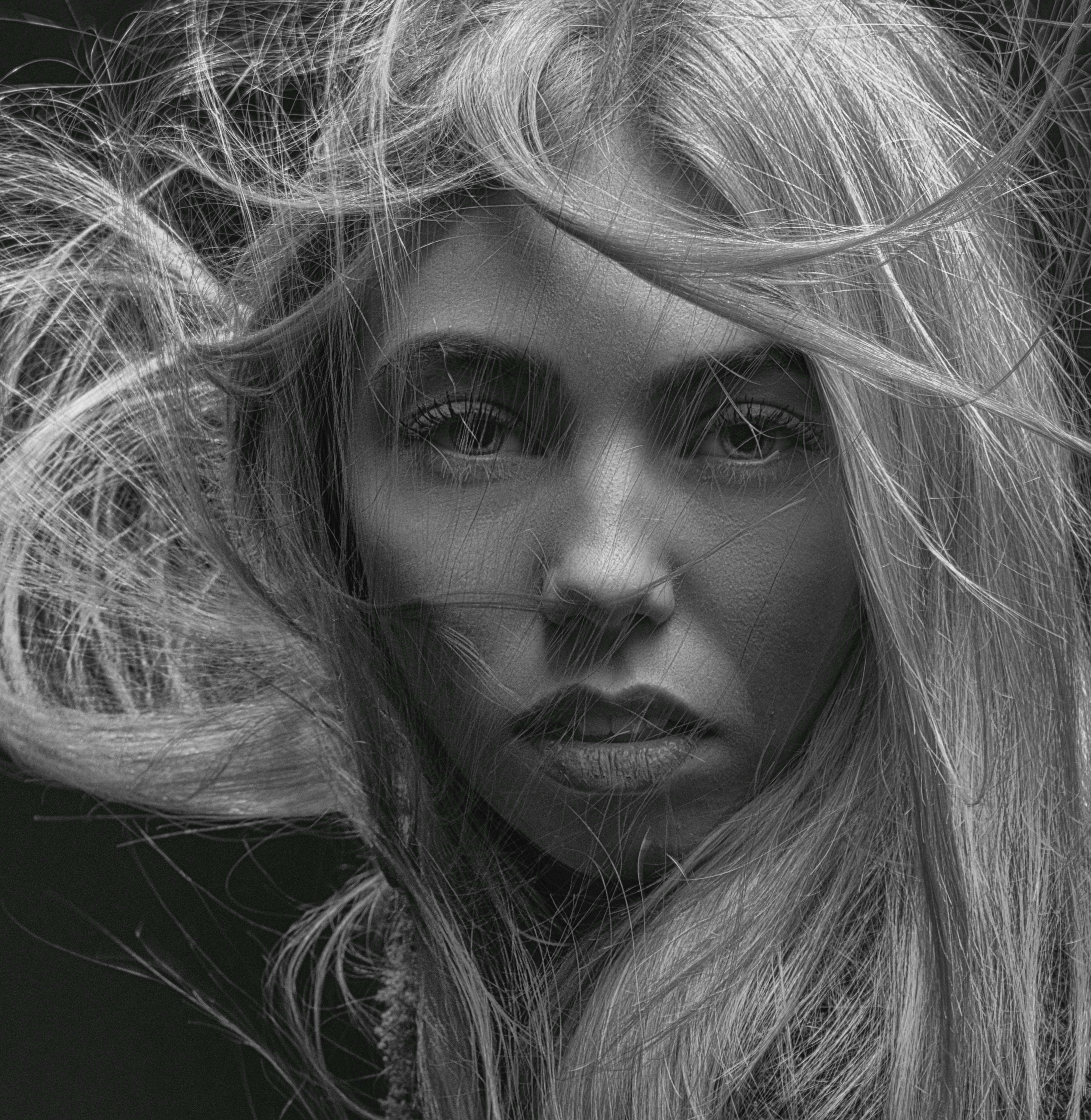 Photo by krivitskiy
