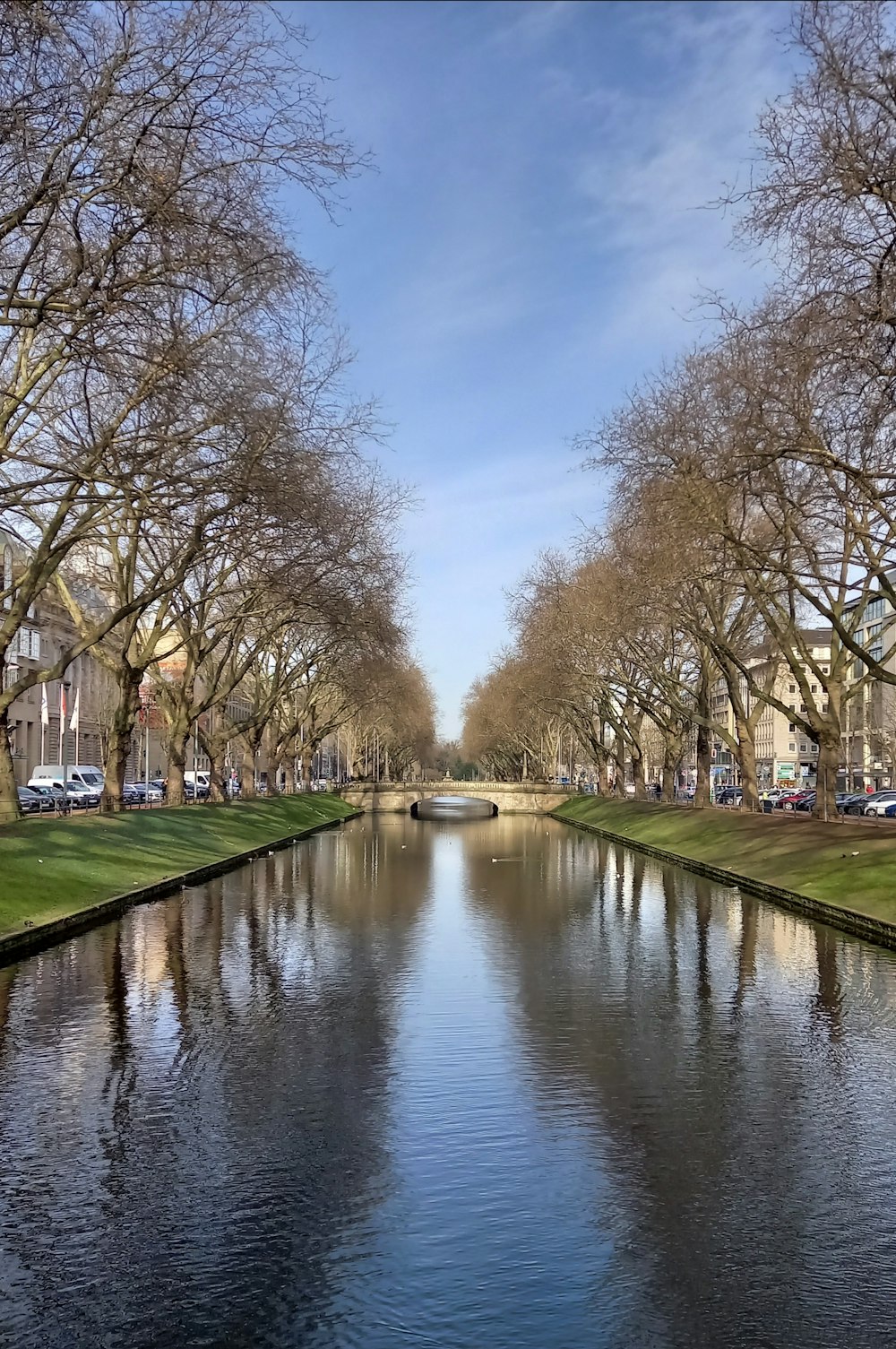 a river running through a lush green park