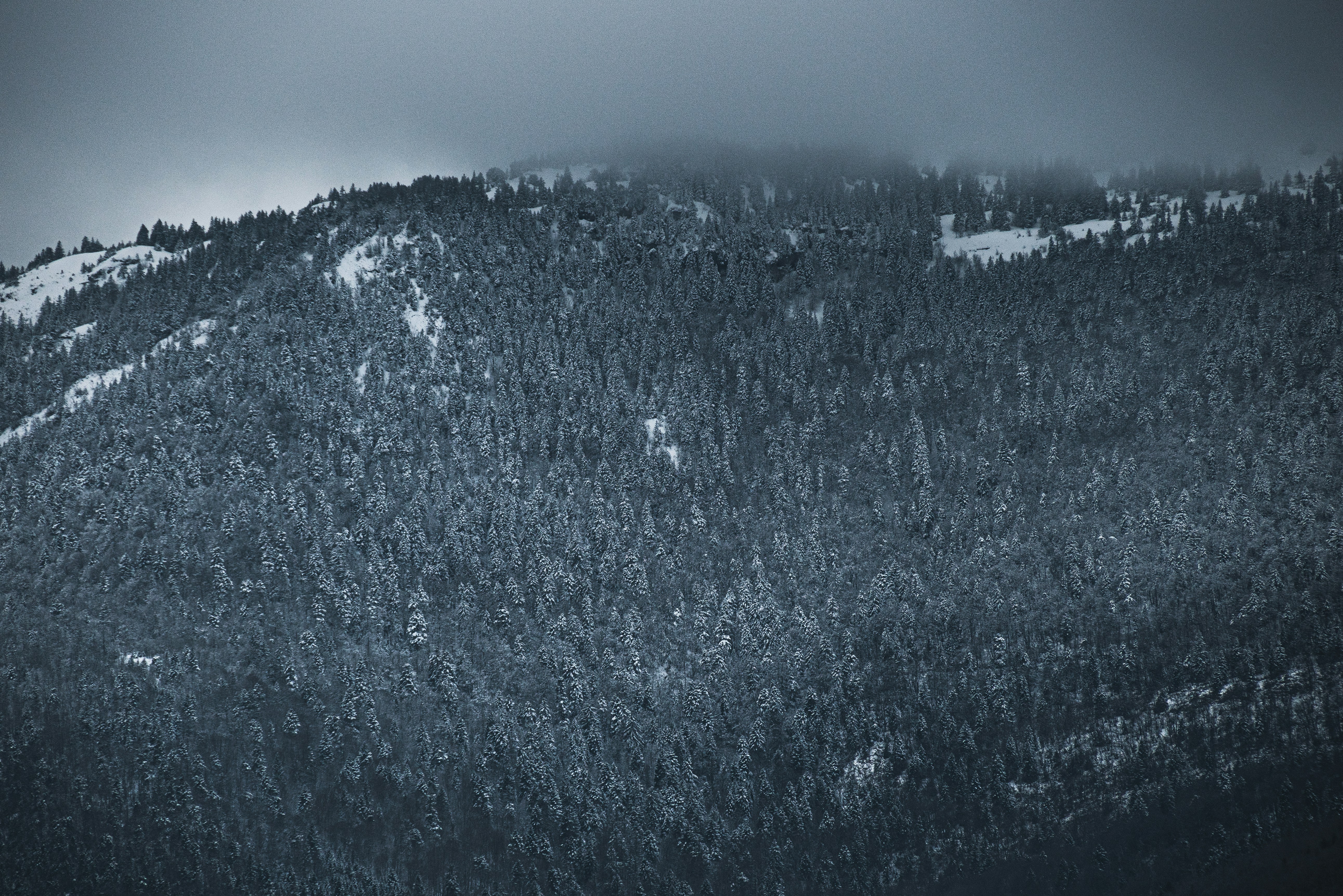 Photo by yigitarisoy