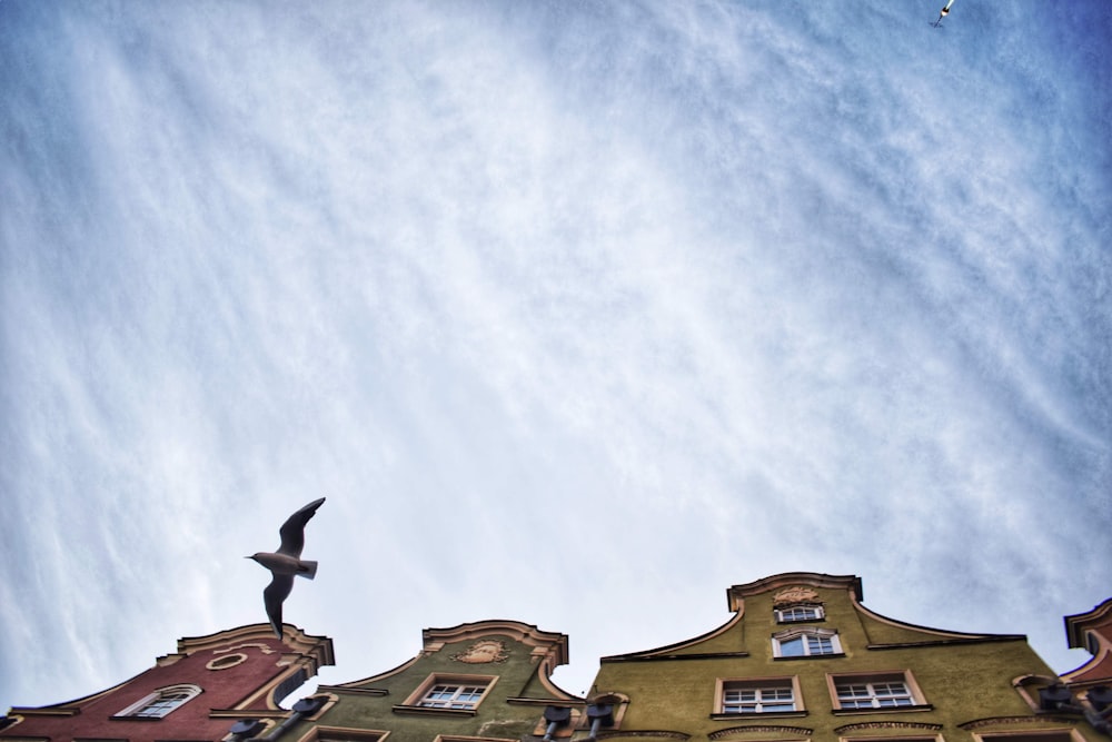 a bird flying in the sky over some buildings