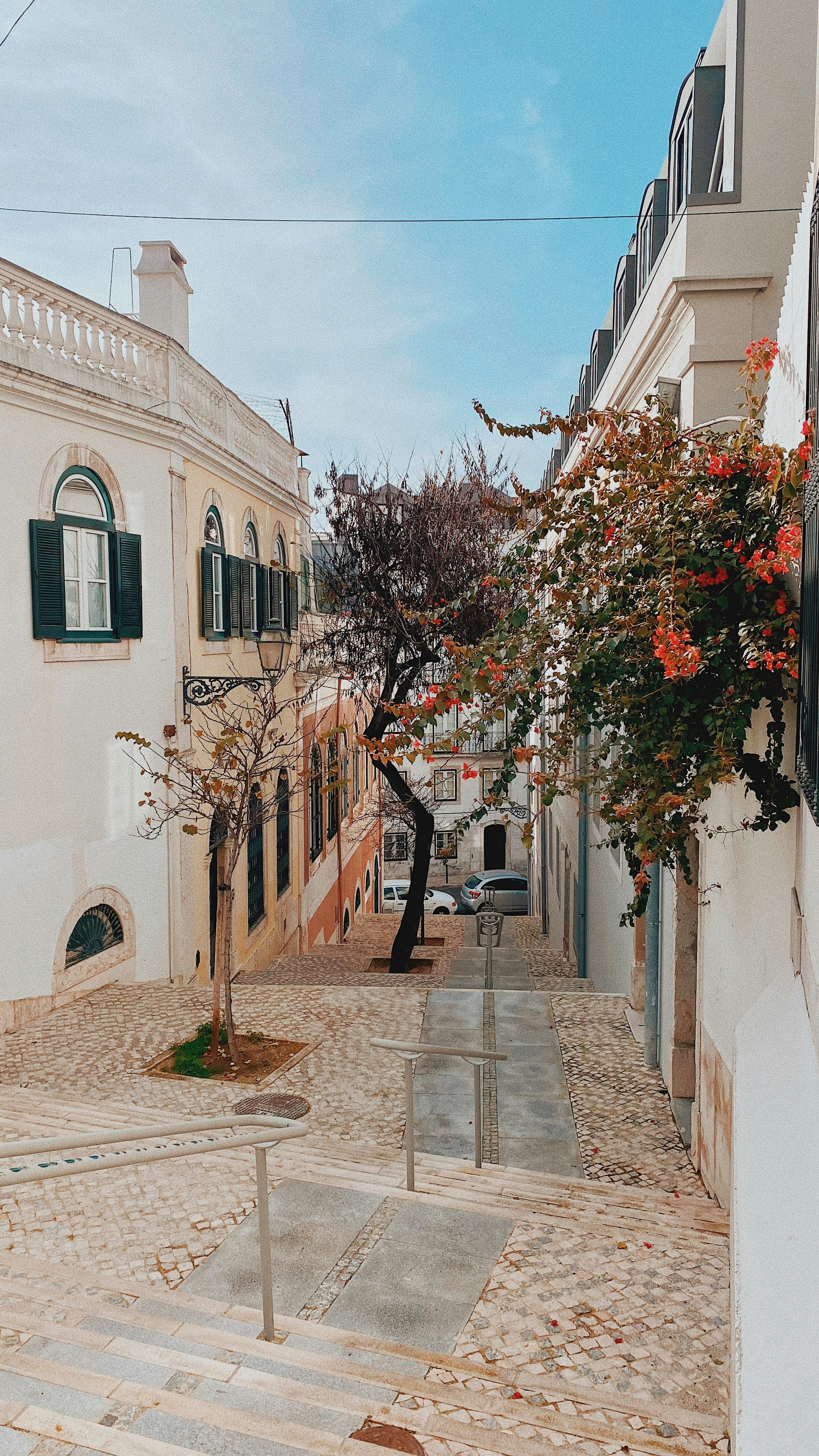 Photo by viniciusmorandi