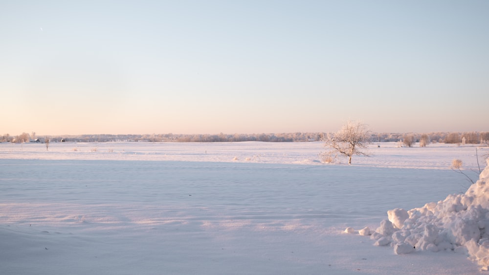 a snow covered field with a tree in the distance