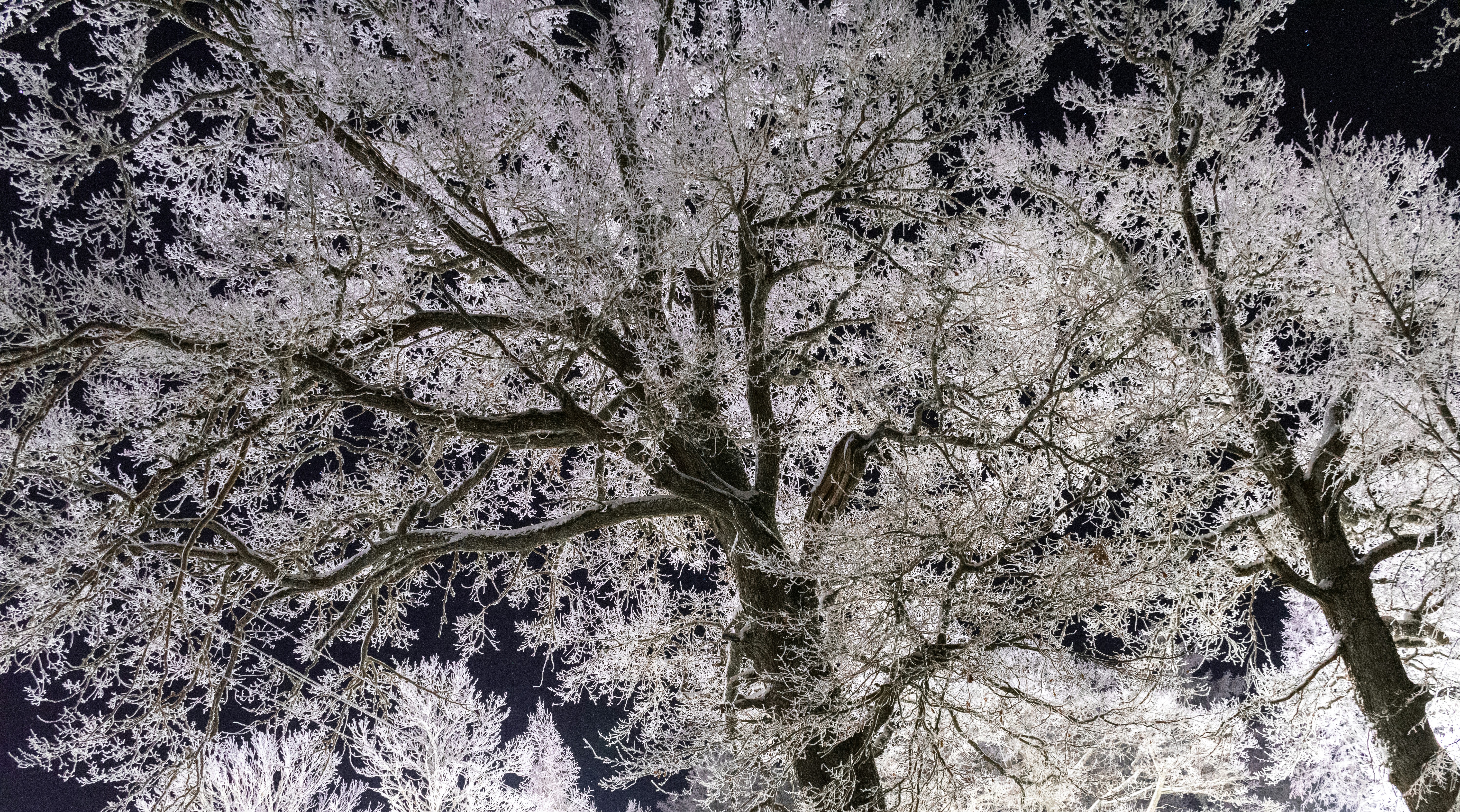 Photo by karliszalans