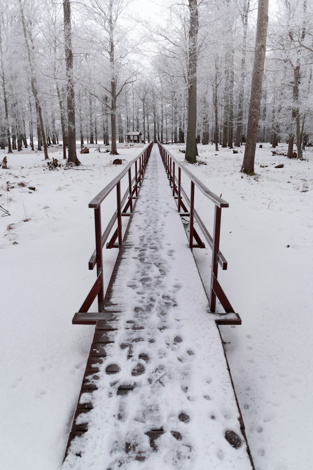 a long wooden bench in the middle of a snowy forest