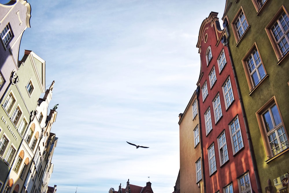 a bird flying in the sky over some buildings