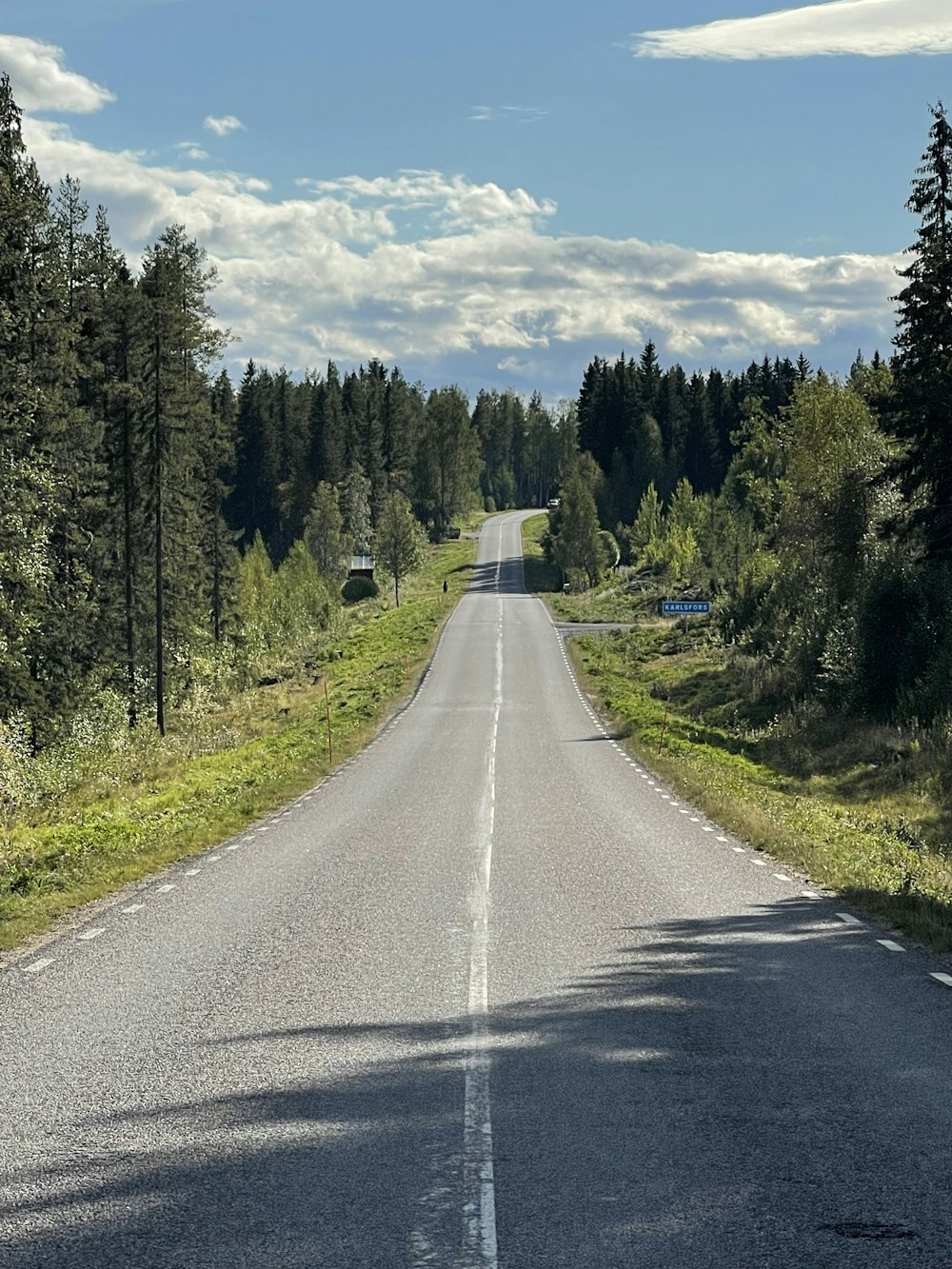 an empty road in the middle of a forest