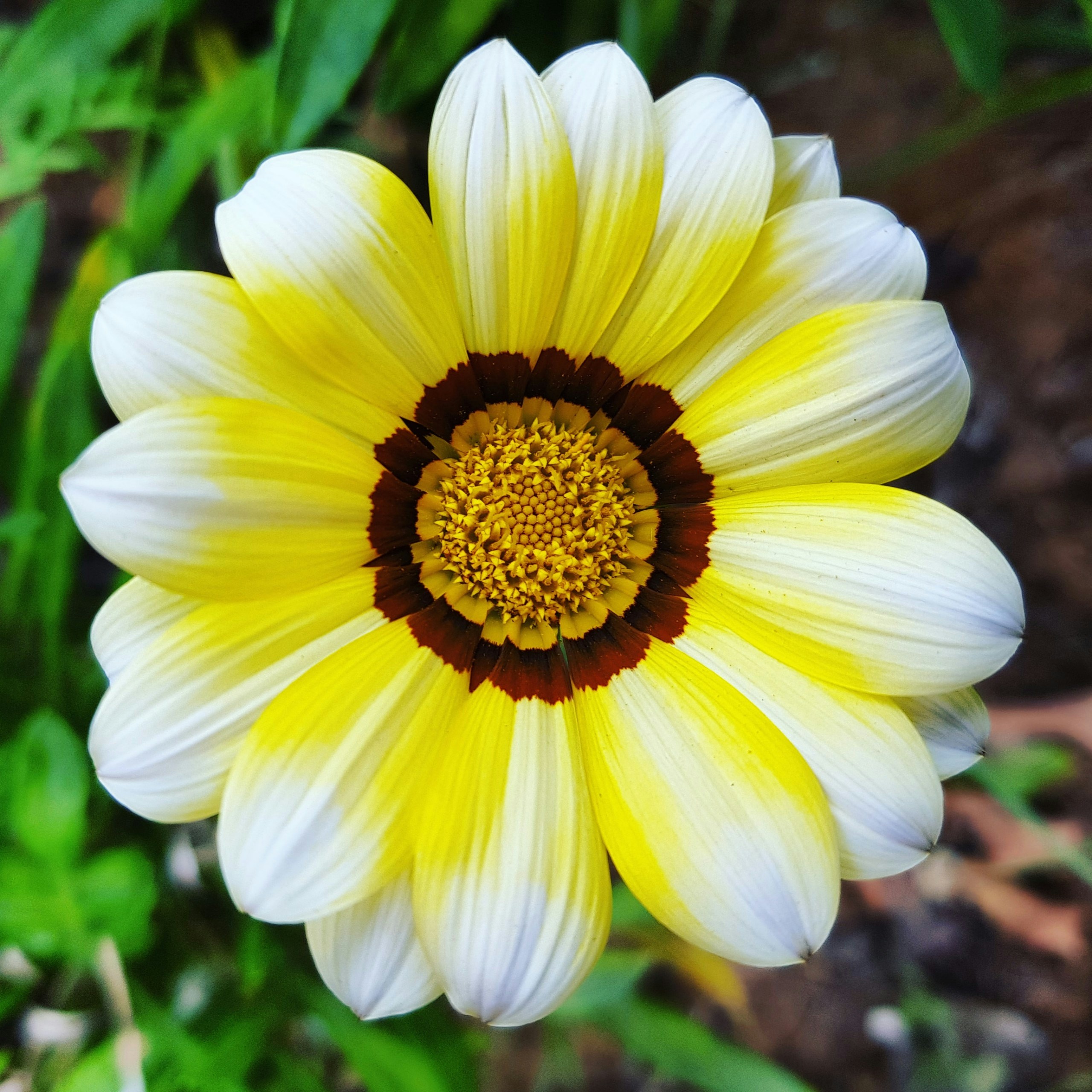 Photo by nature__em