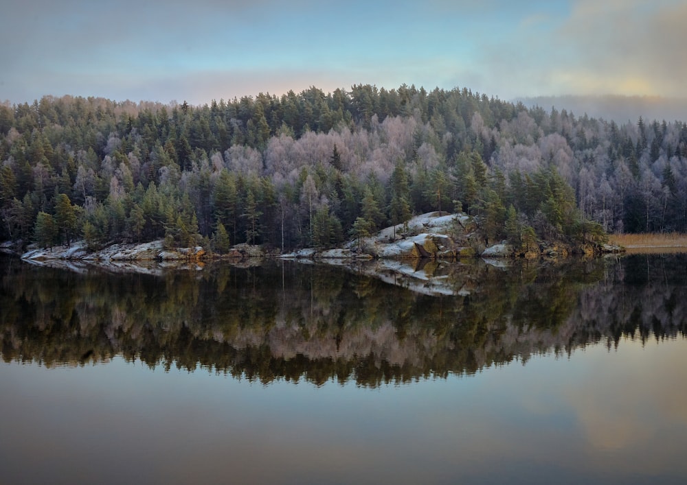 a large body of water surrounded by trees