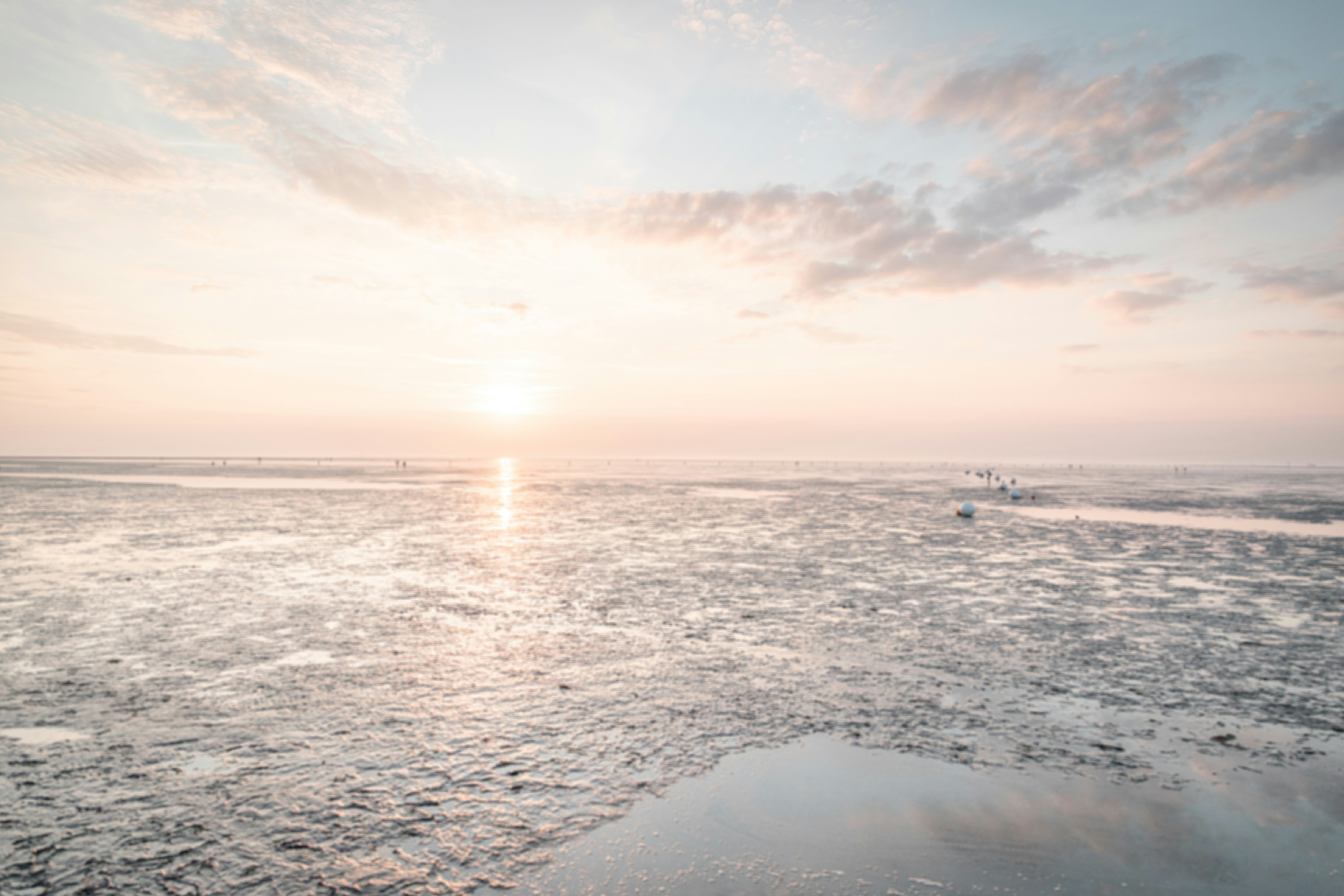 Photo by katharina_bill