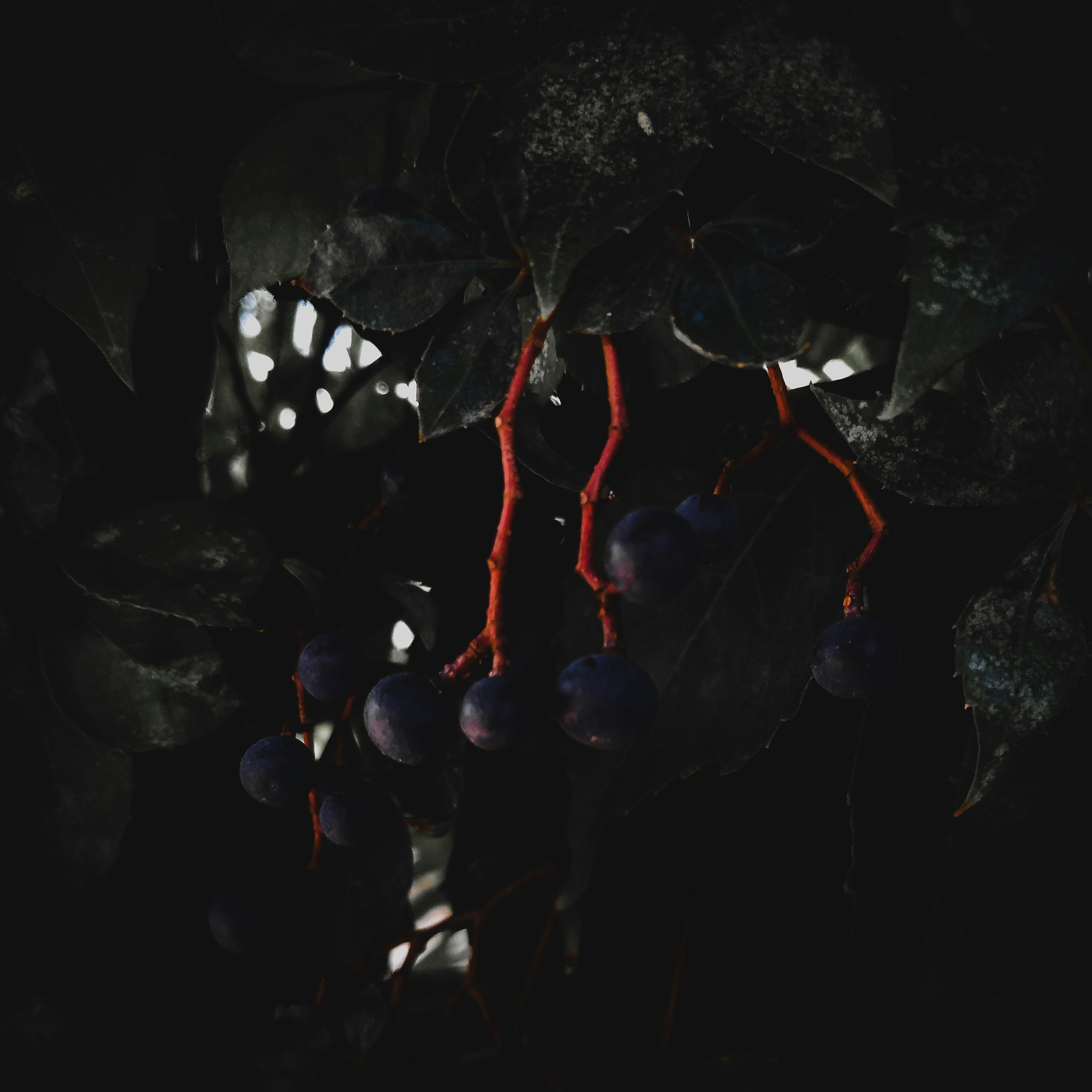 Photo by dannycastro