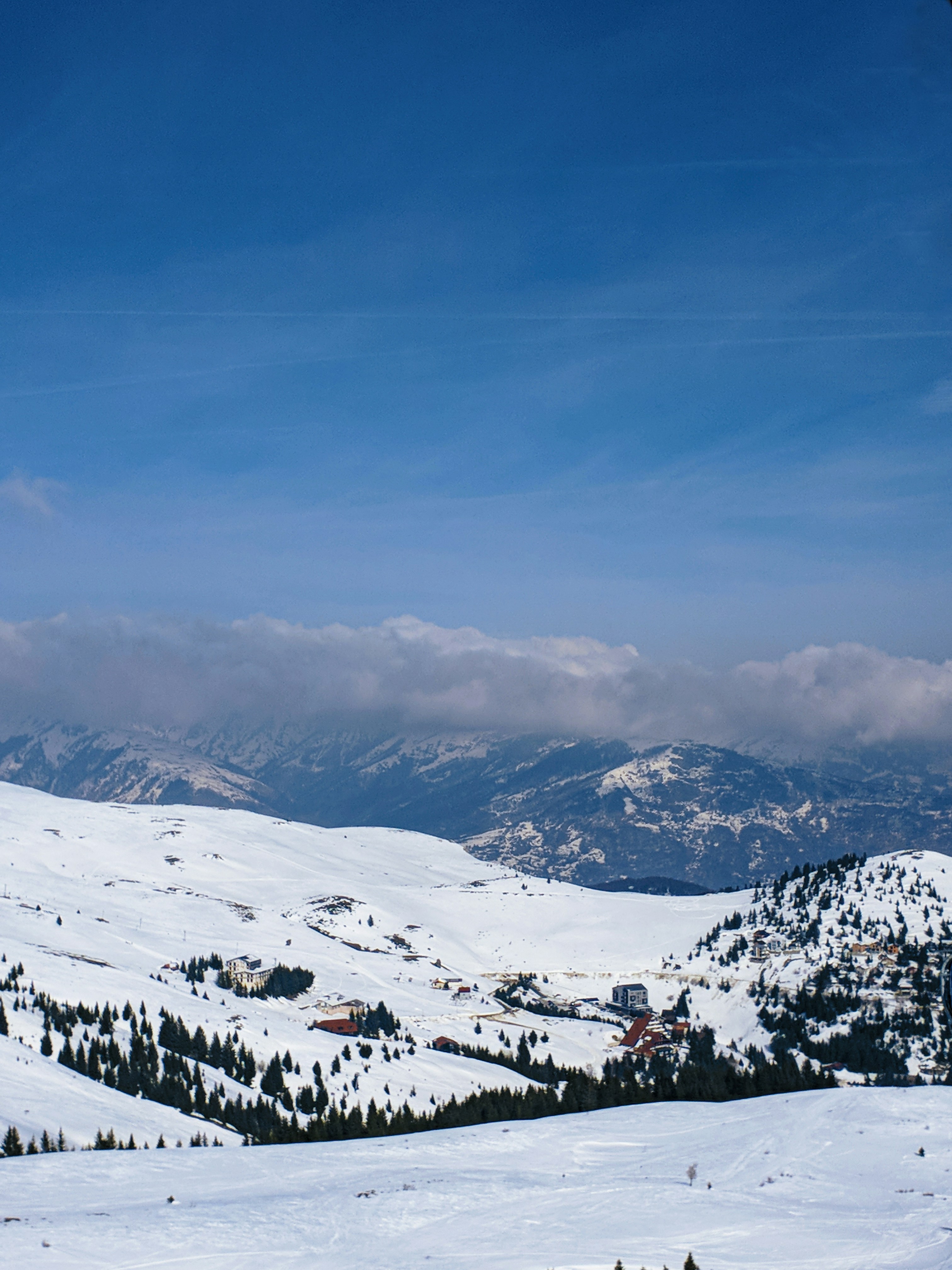 Photo by alberthyseni