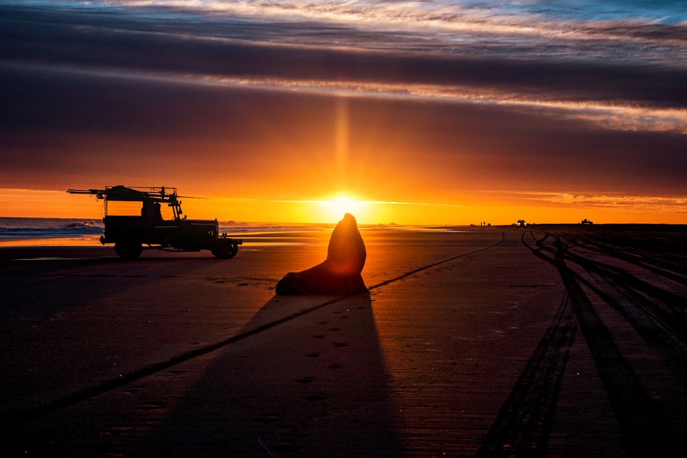 a person sitting on a beach watching the sun set