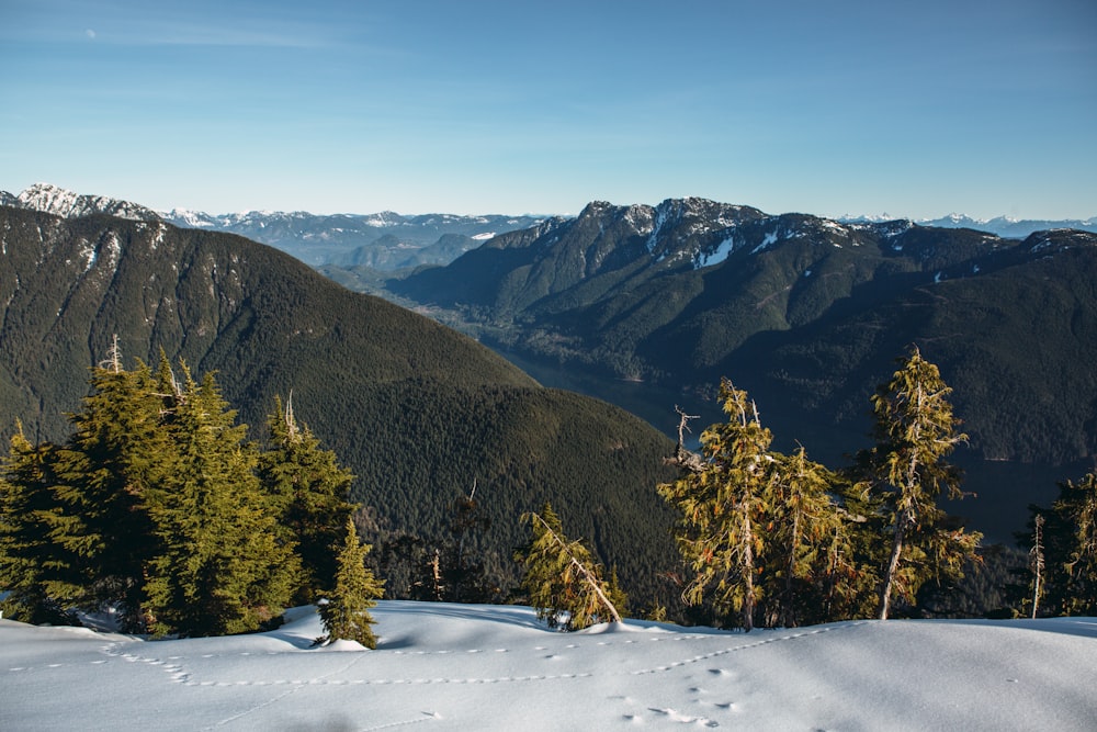 una vista di una catena montuosa con alberi e neve