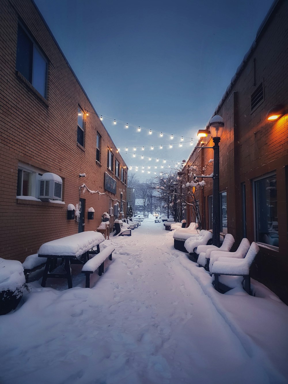 a snowy street lined with benches and lights