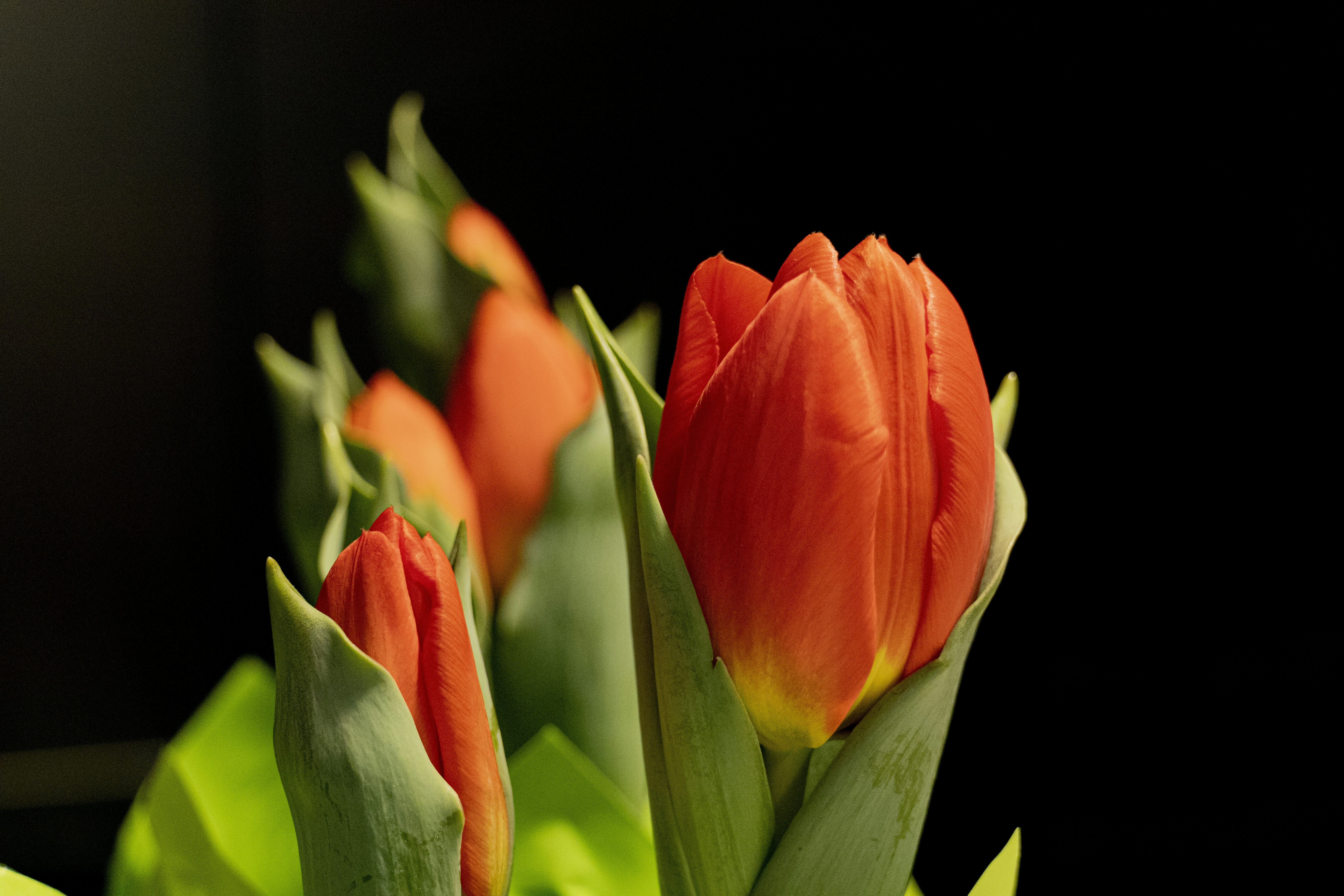 Photo by junior_hector