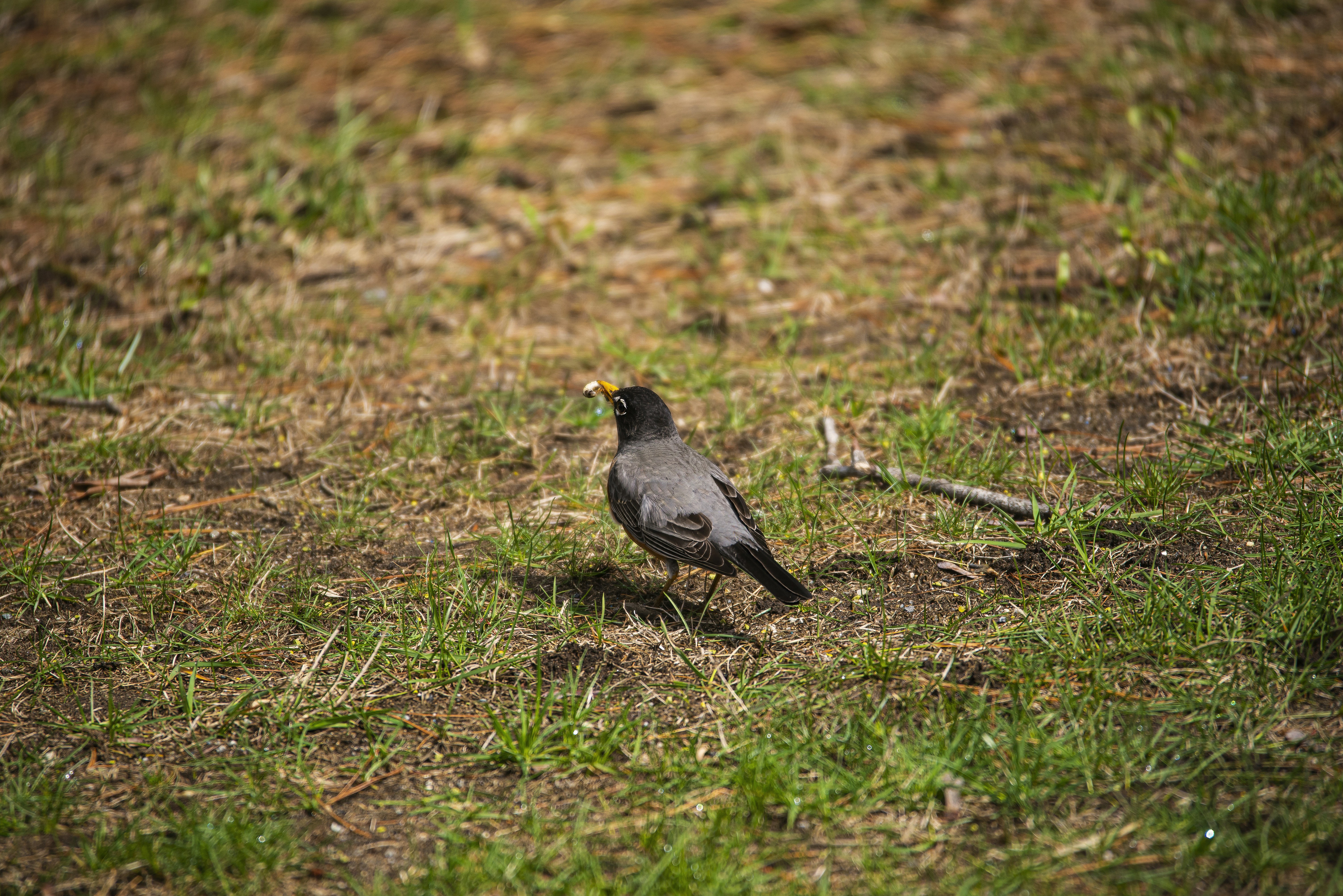 Photo by climatechangevi