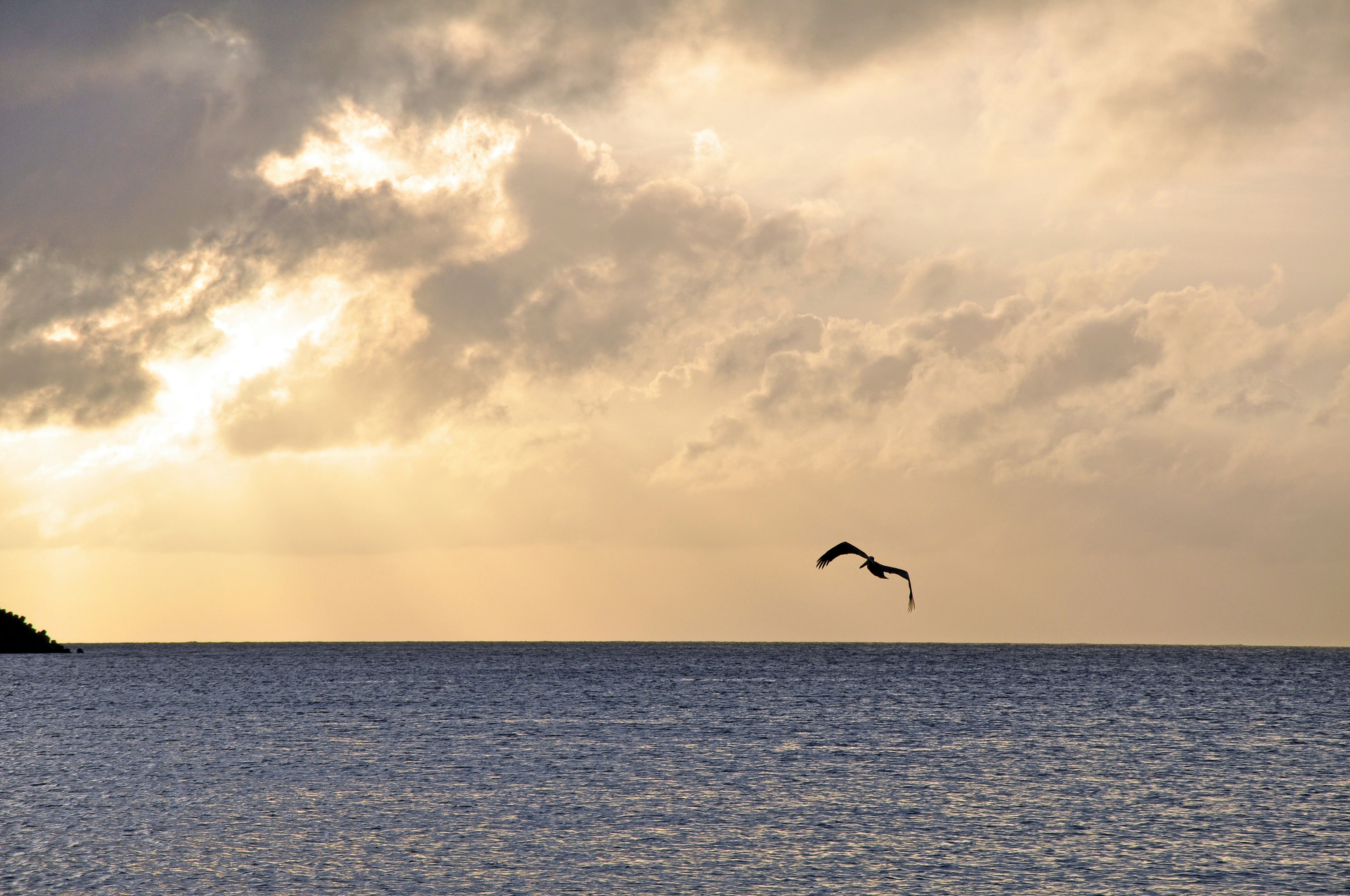 Photo by climatechangevi