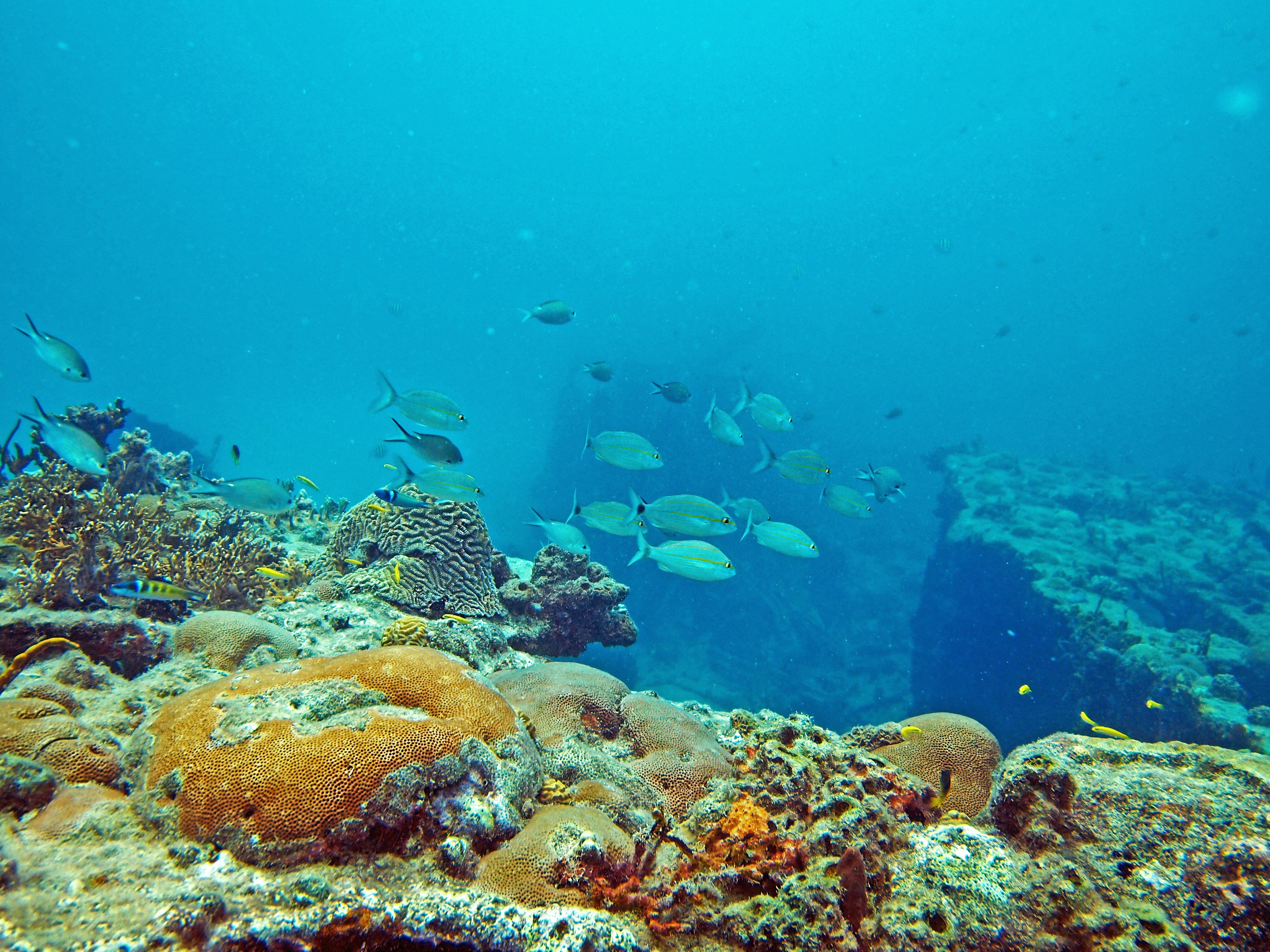 Photo by climatechangevi