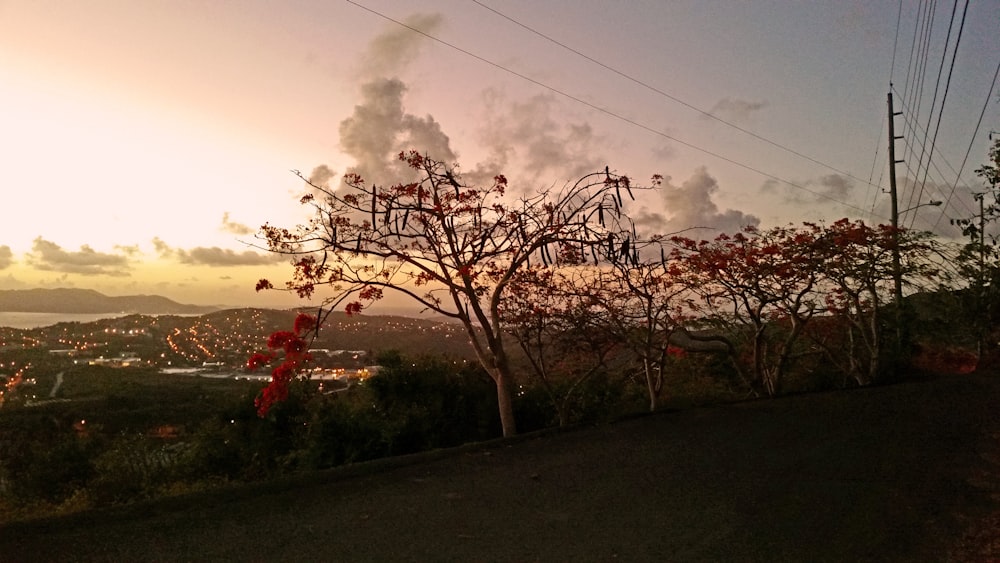 a view of a city from a hill at sunset