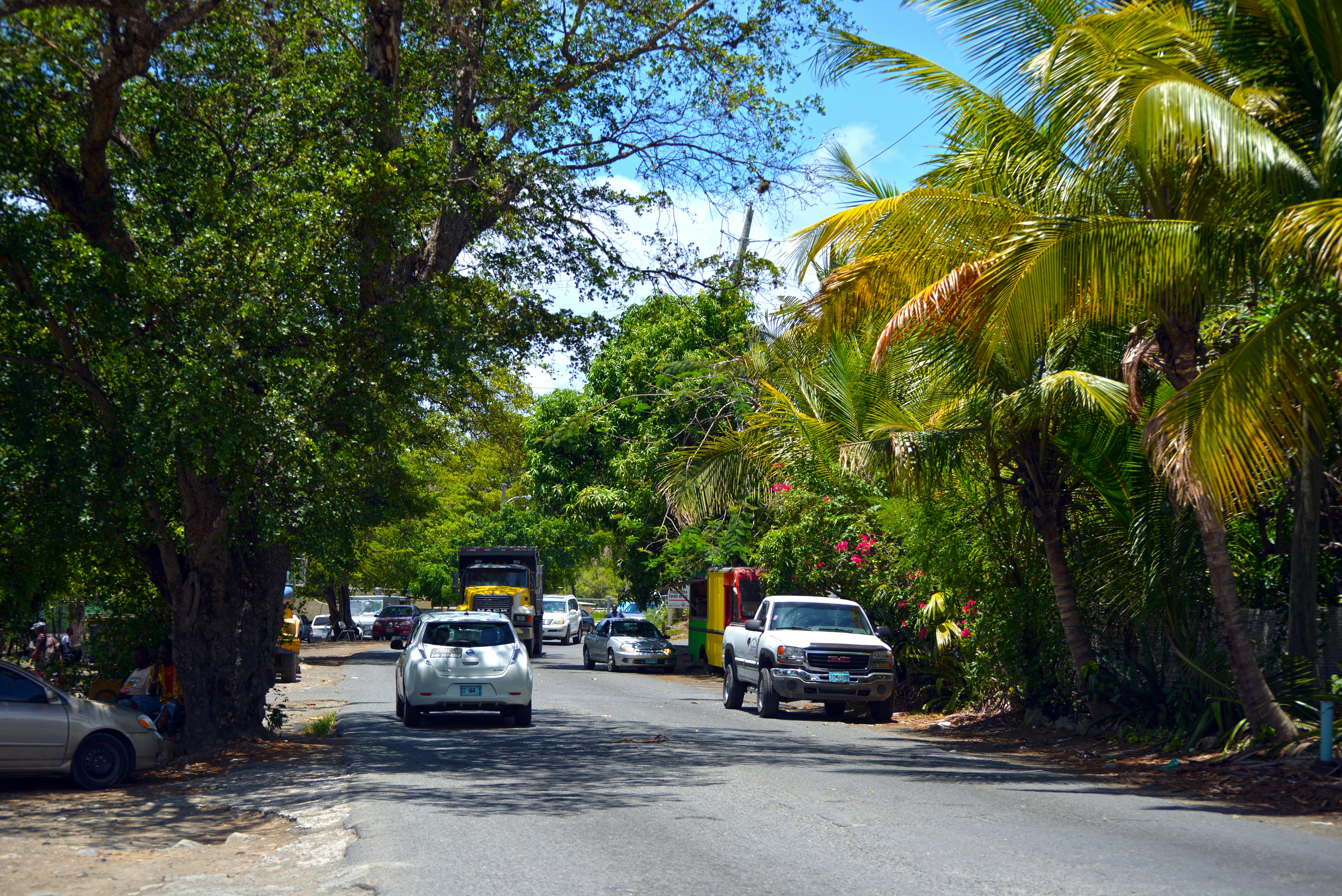 a street lined with palm trees and parked cars, A tropical tree-lined roadway.