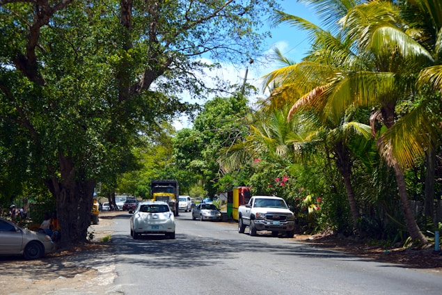 a street lined with palm trees and parked cars