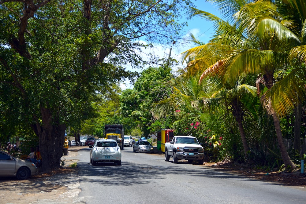 a street lined with palm trees and parked cars