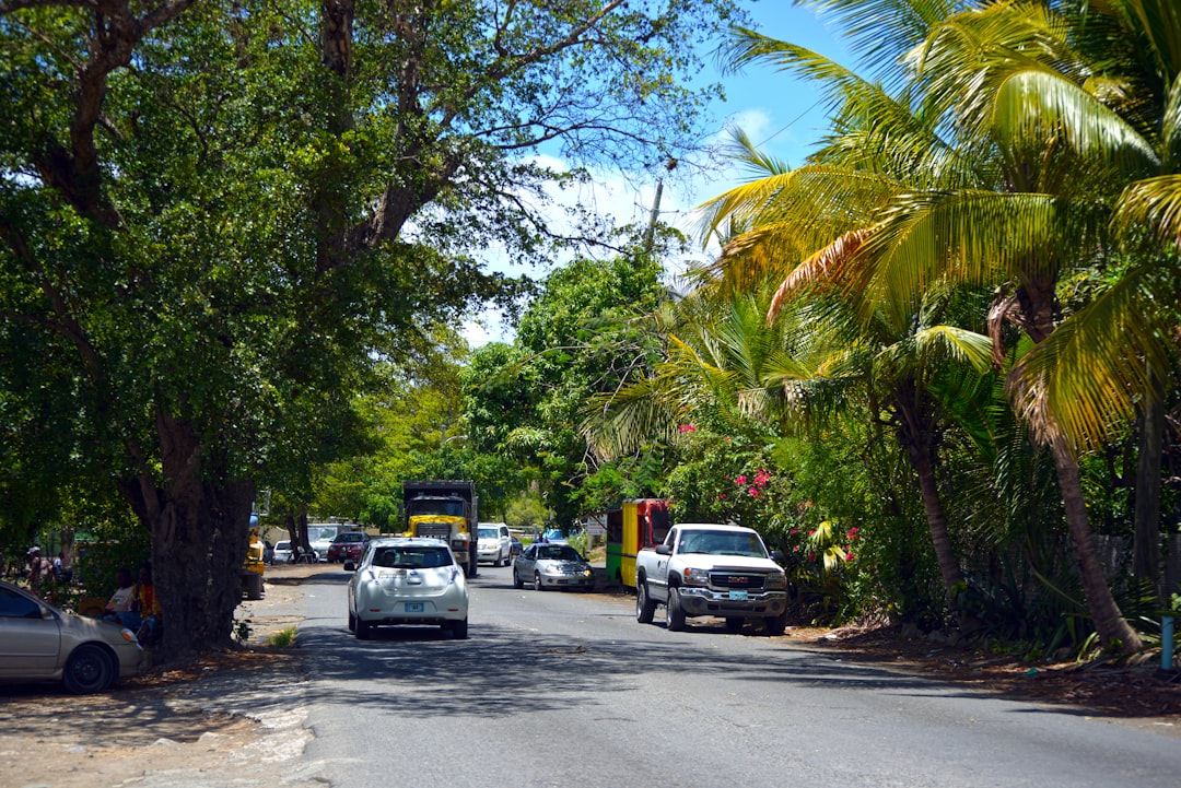 a humid, lush Coconut Grove street scene - duct cleaning coconut grove, fl a humid, lush Coconut Grove street scene - duct cleaning coconut grove, fl