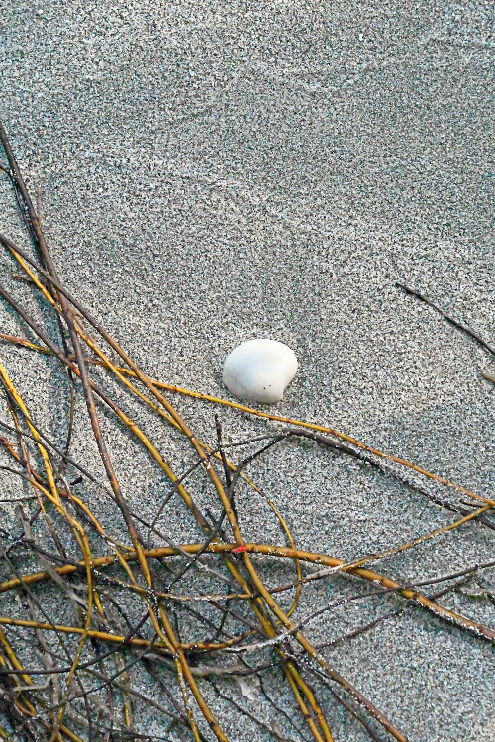 a white ball sitting on top of a sandy beach