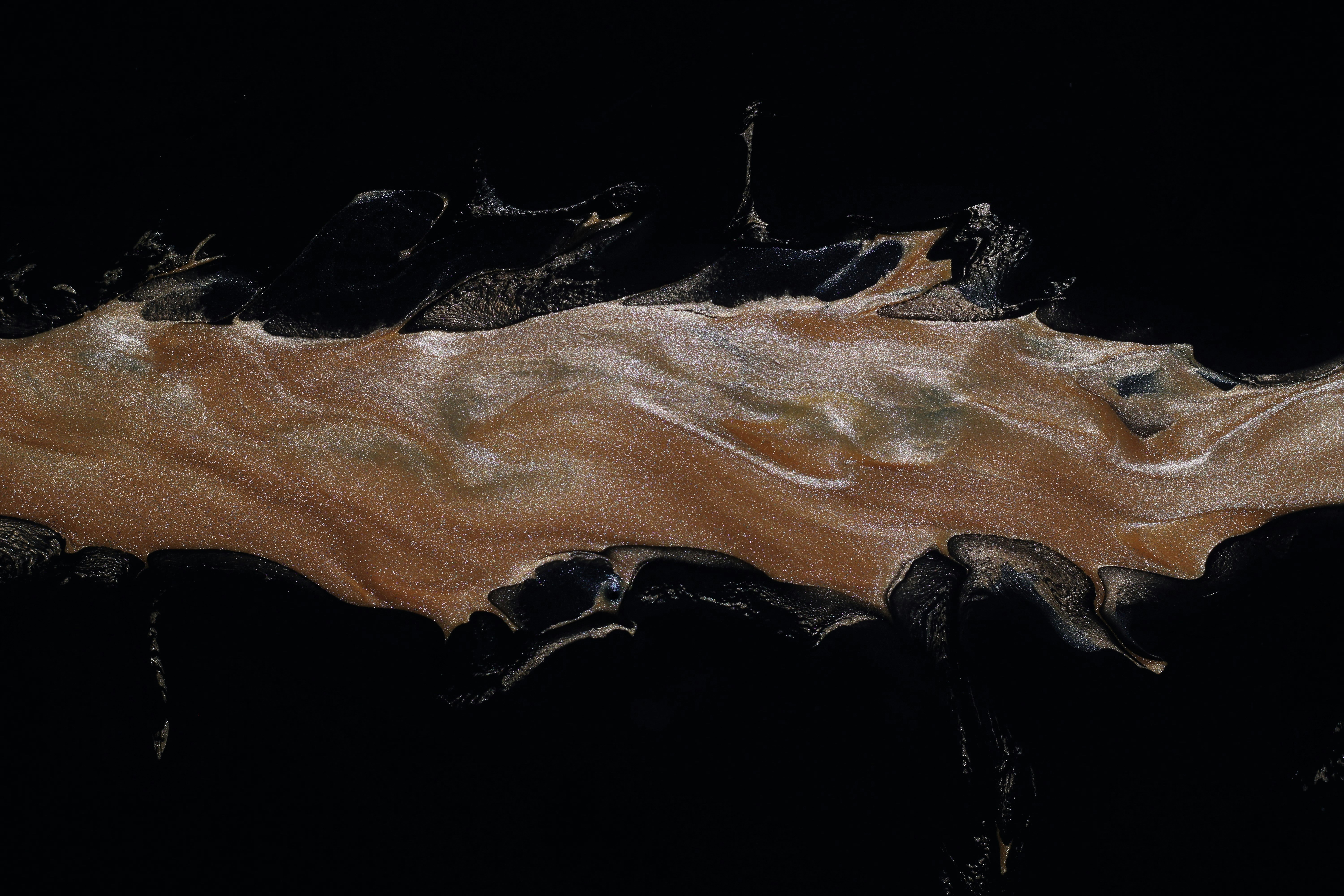 Photo by susan_wilkinson