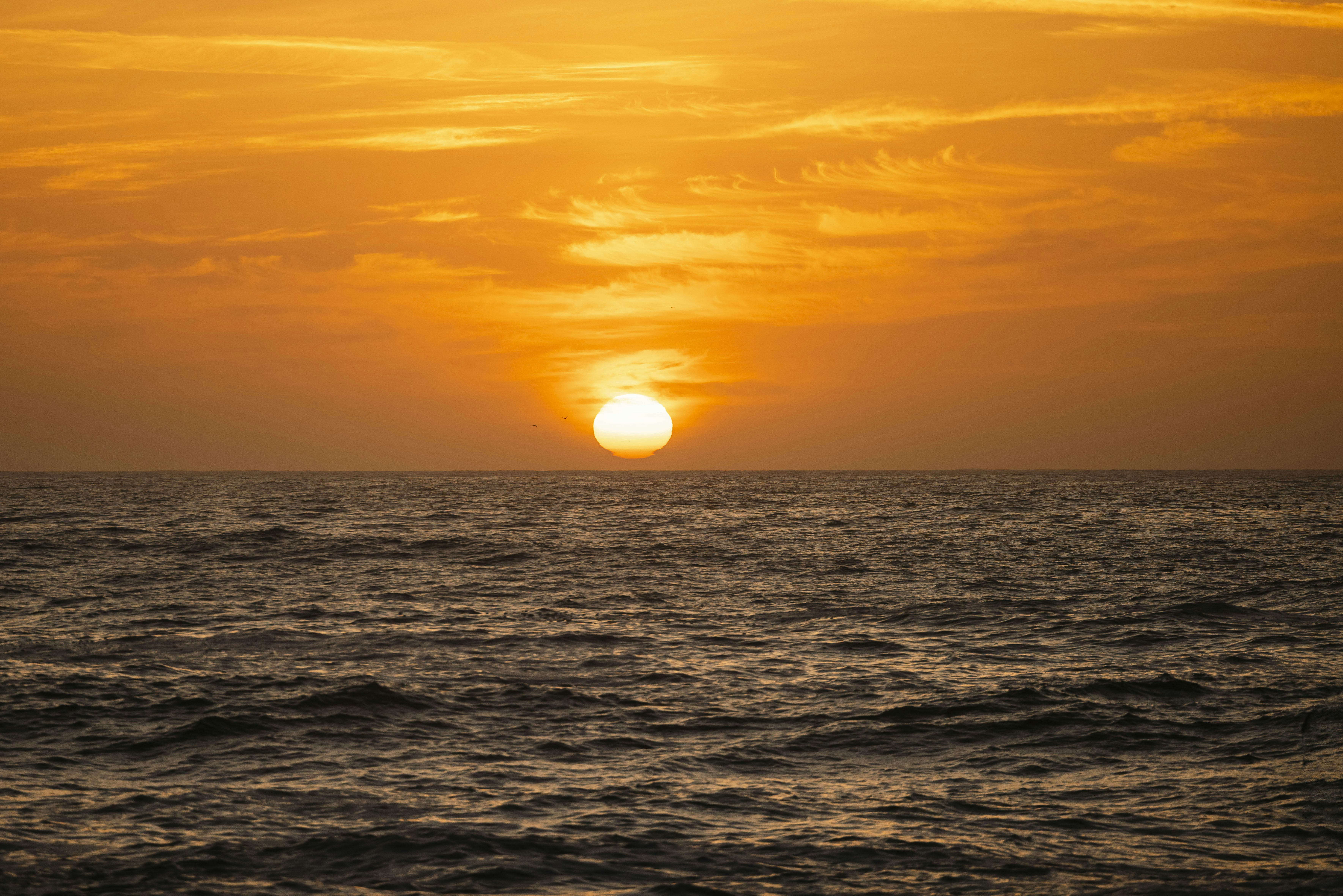 Photo by leo_visions_